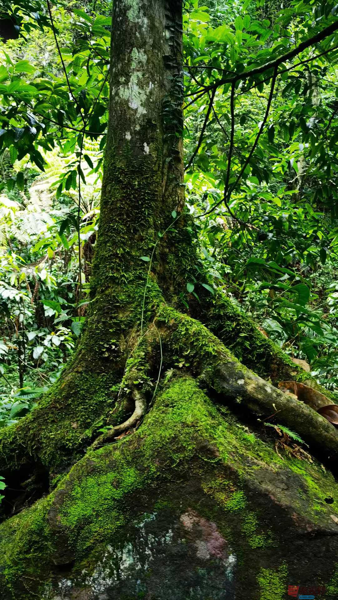 马世国_2025-10-11_093430_367 (4).jpg