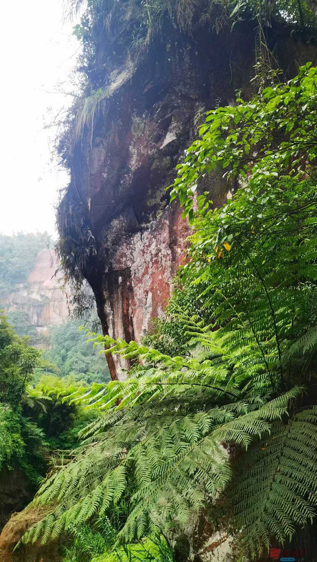 马世国_2025-10-11_093430_367 (6).jpg