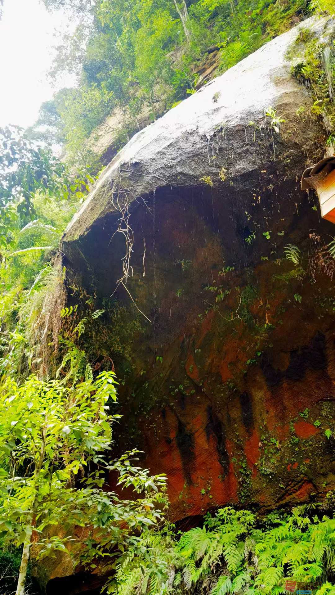 马世国_2025-10-11_093430_367 (7).jpg