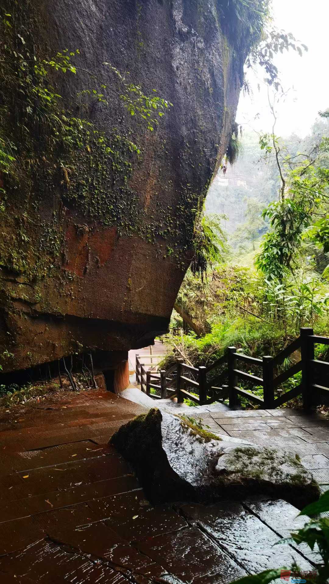 马世国_2025-10-11_093430_367 (8).jpg