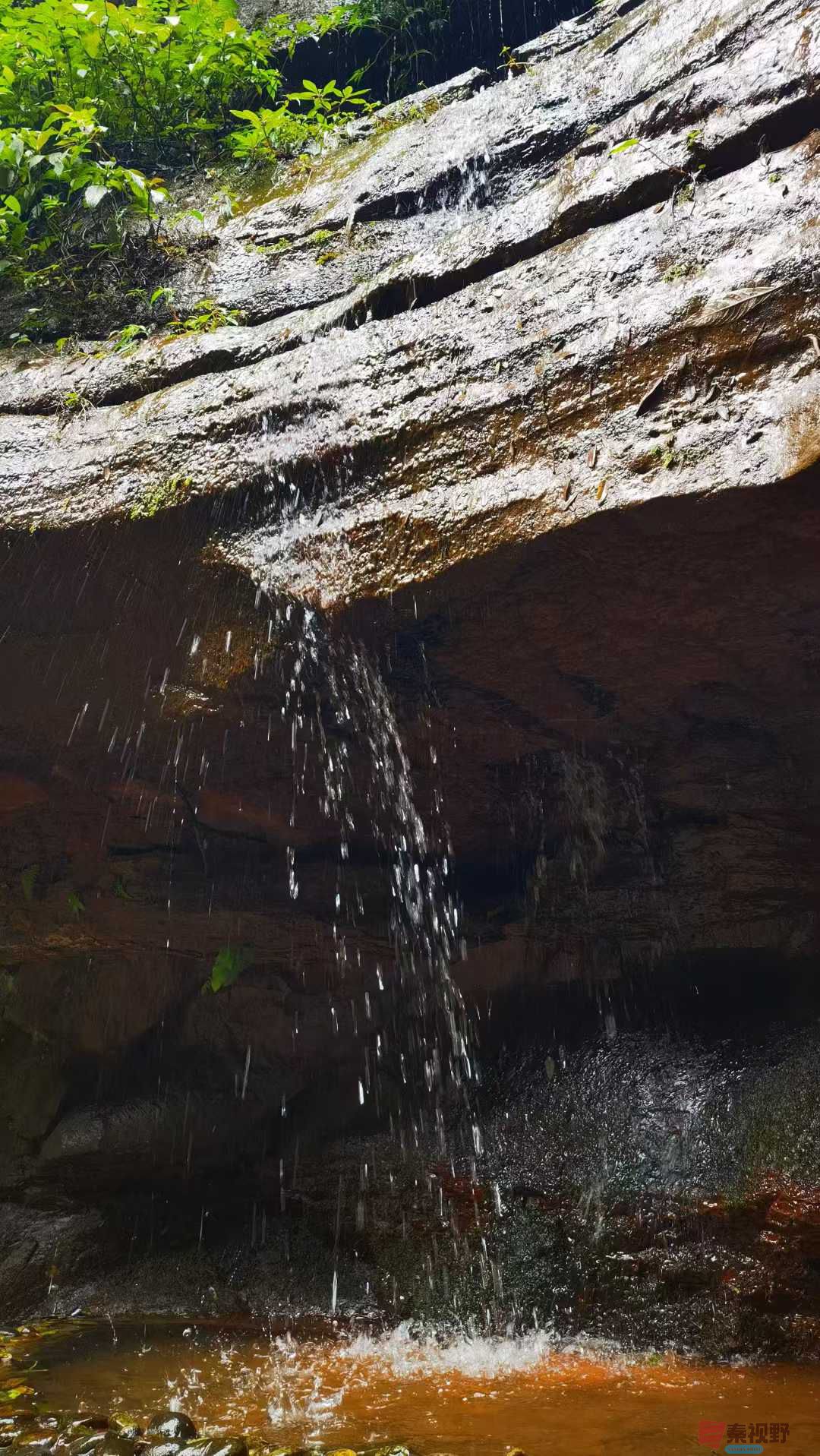 马世国_2025-10-11_093430_367 (9).jpg