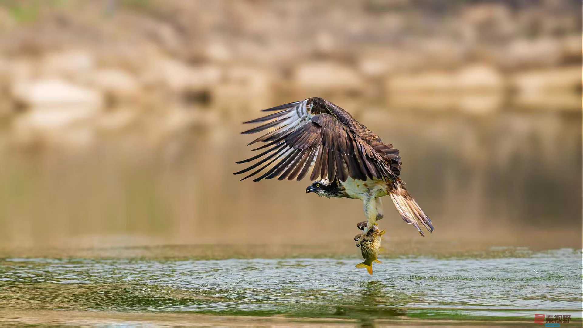 袁小保2025-10-13_ (2).jpg