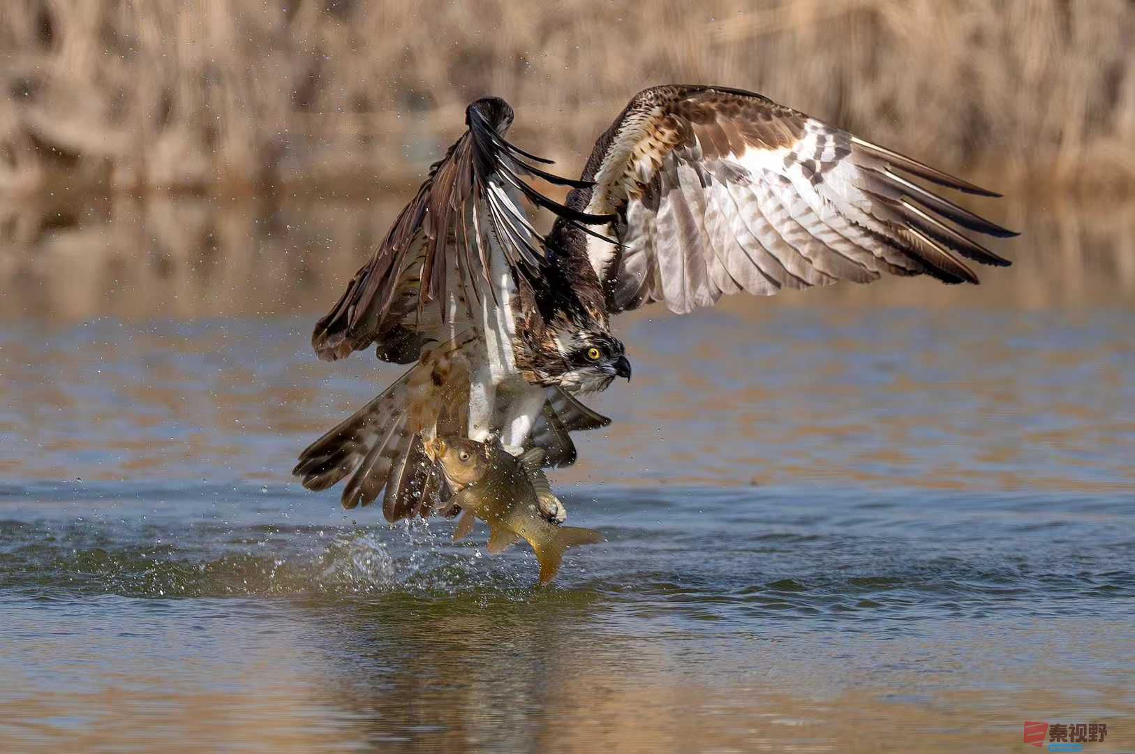 袁小保2025-10-13_ (5).jpg