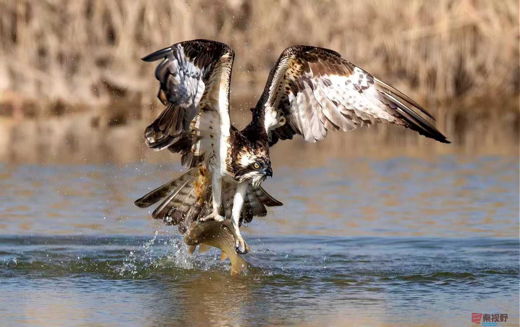 袁小保2025-10-13_ (4).jpg