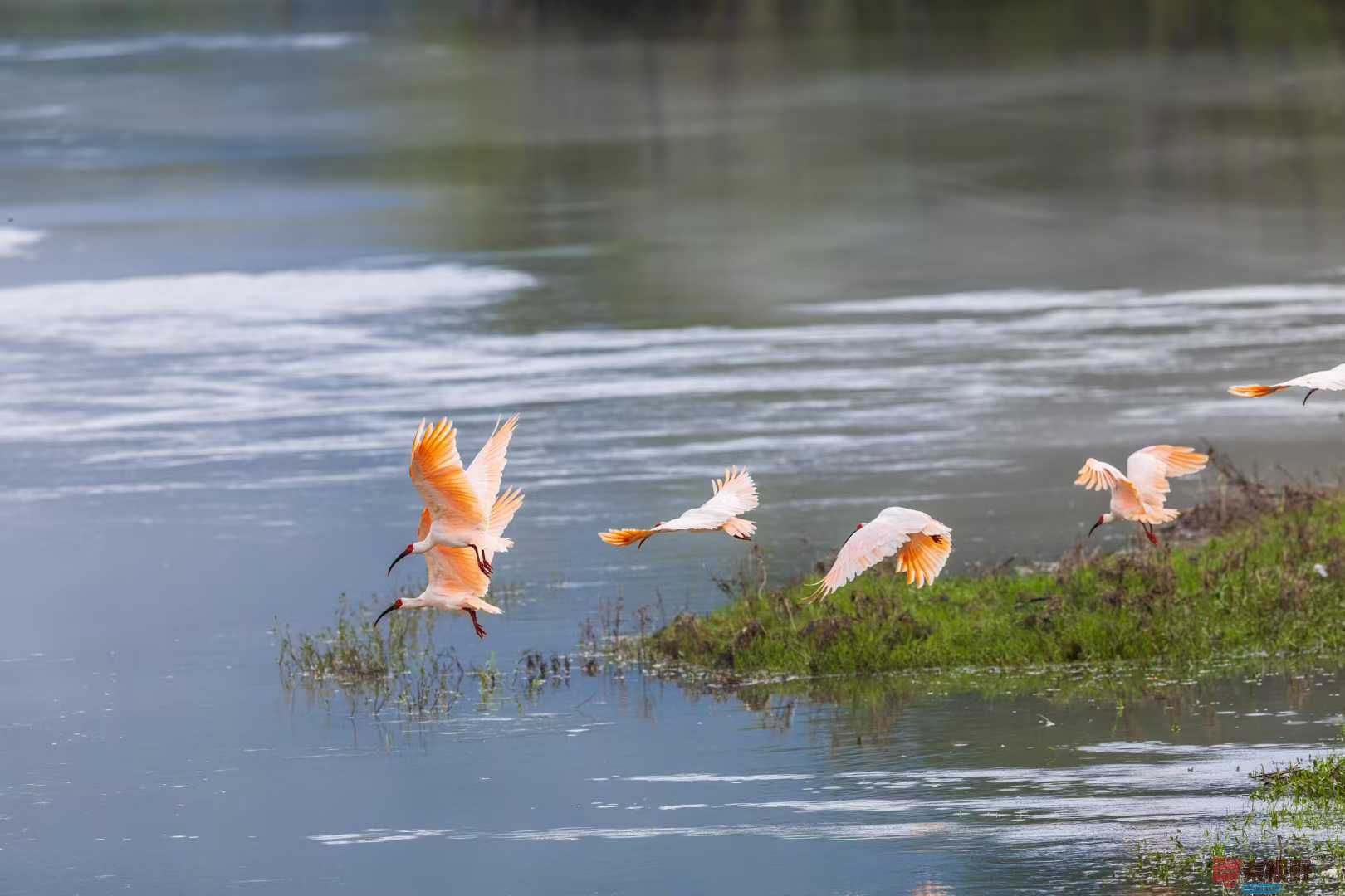 袁小保_2025-10-13_144120_348 (4).jpg