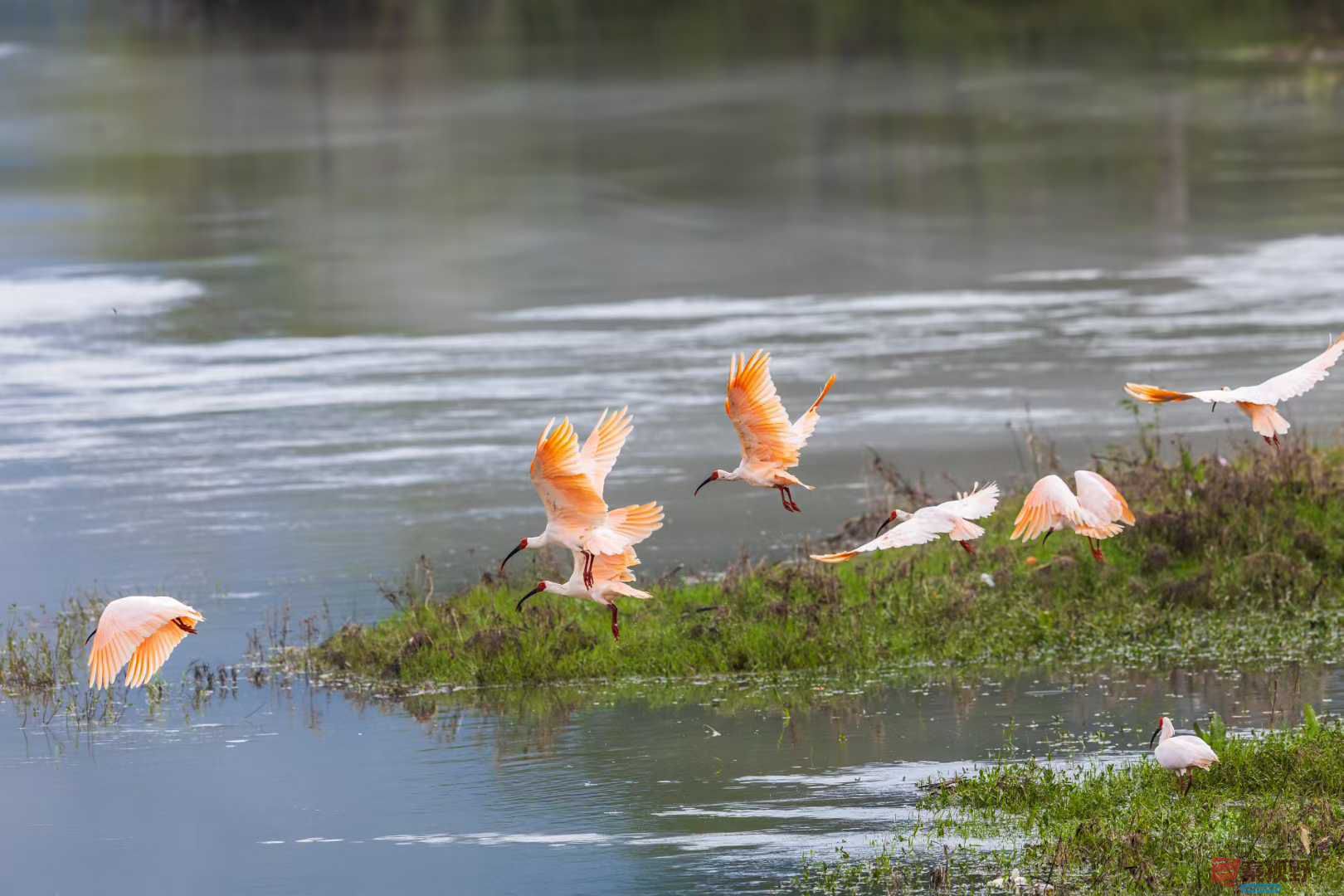 袁小保_2025-10-13_144120_348 (1).jpg