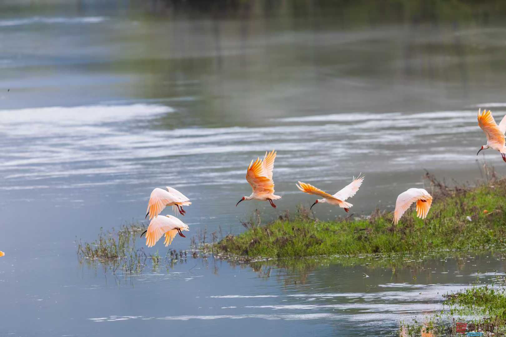 袁小保_2025-10-13_144120_348 (3).jpg