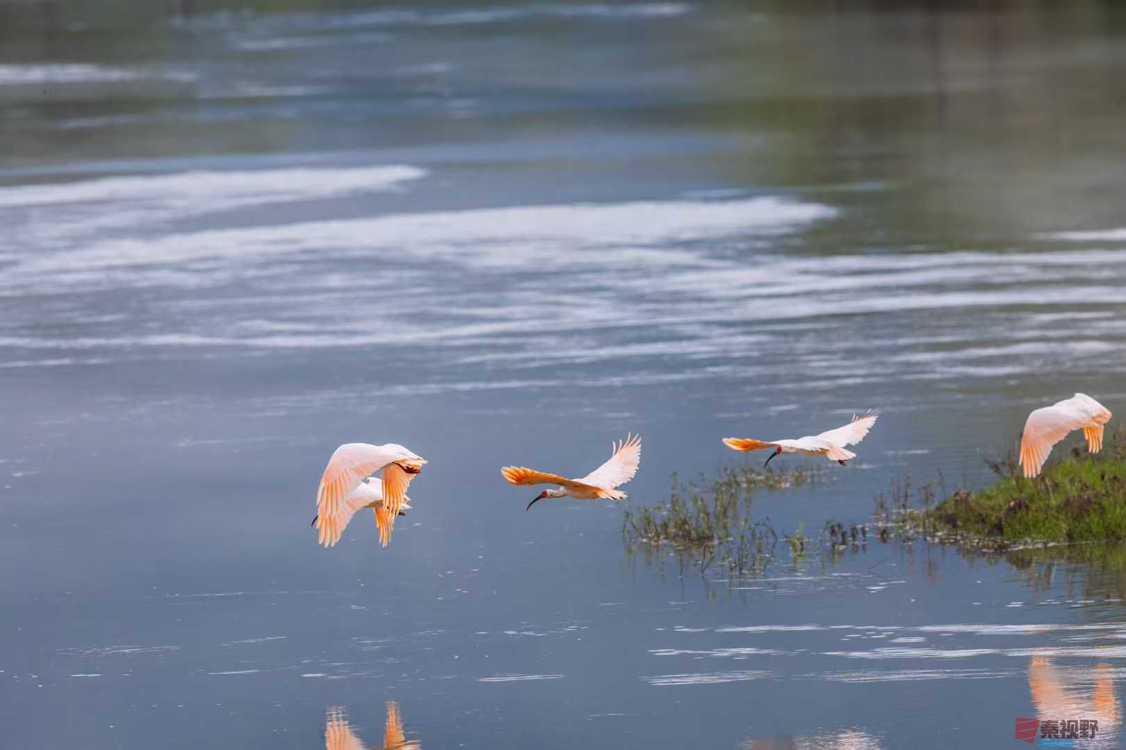 袁小保_2025-10-13_144120_348 (7).jpg