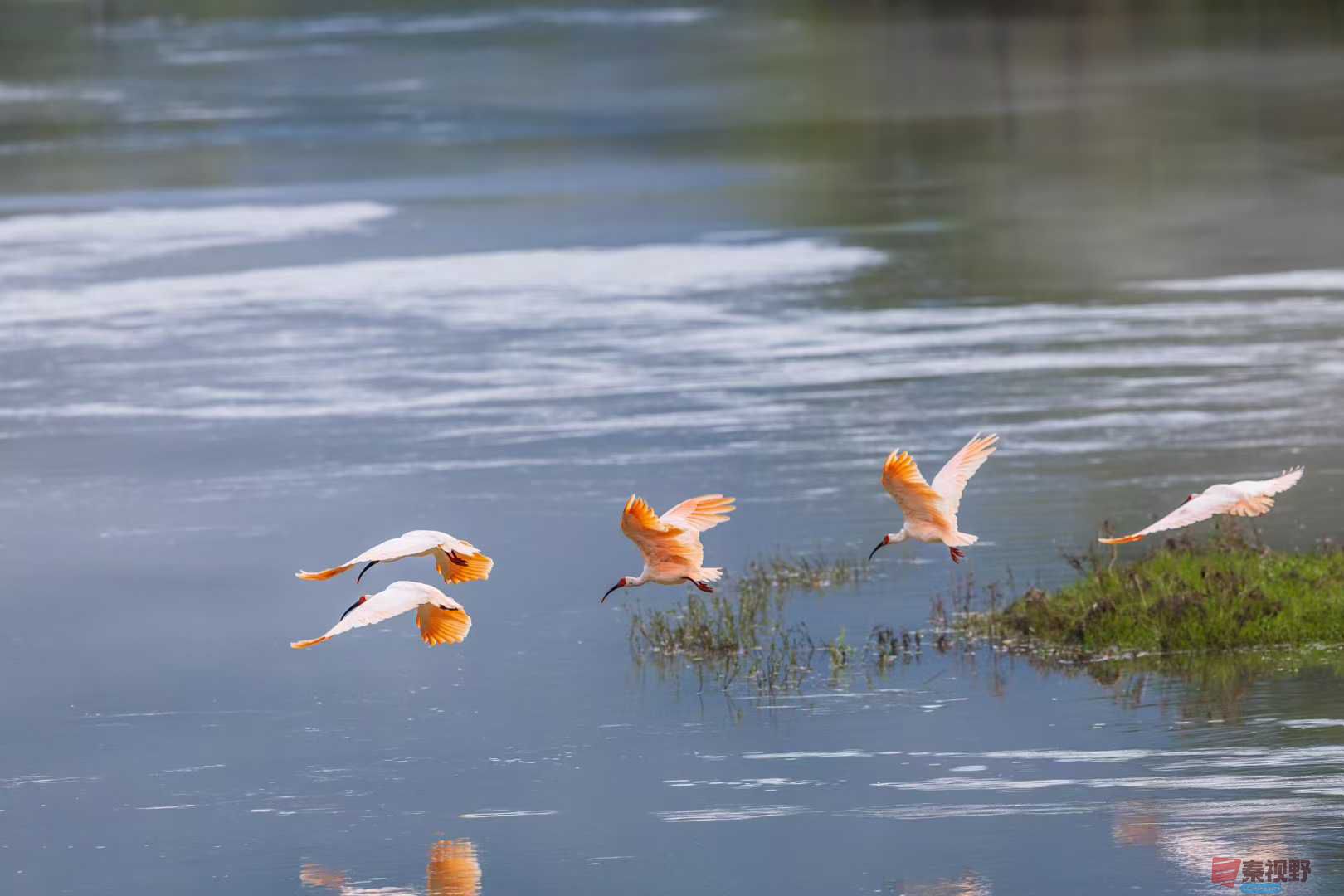 袁小保_2025-10-13_144120_348 (6).jpg