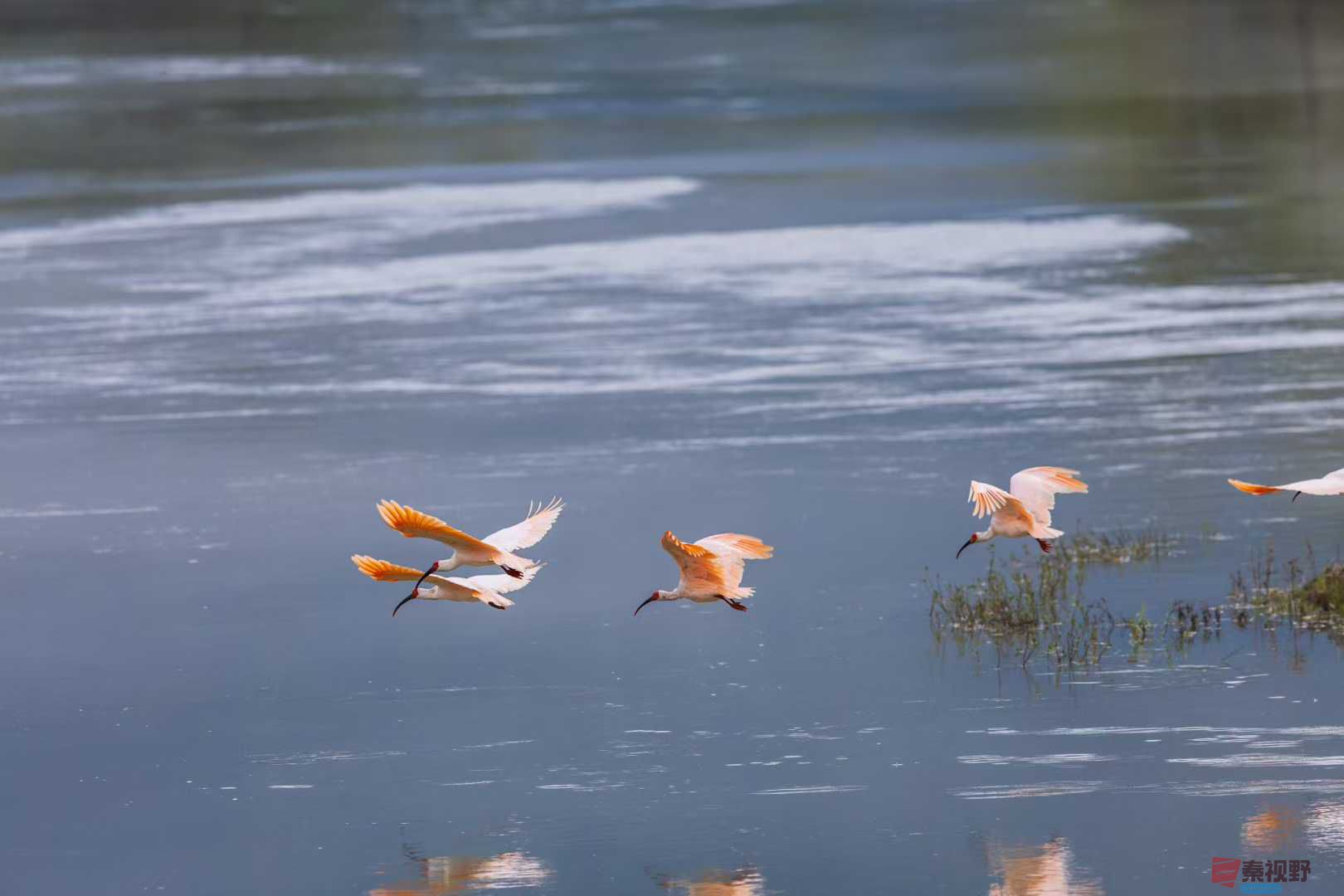 袁小保_2025-10-13_144120_348 (9).jpg