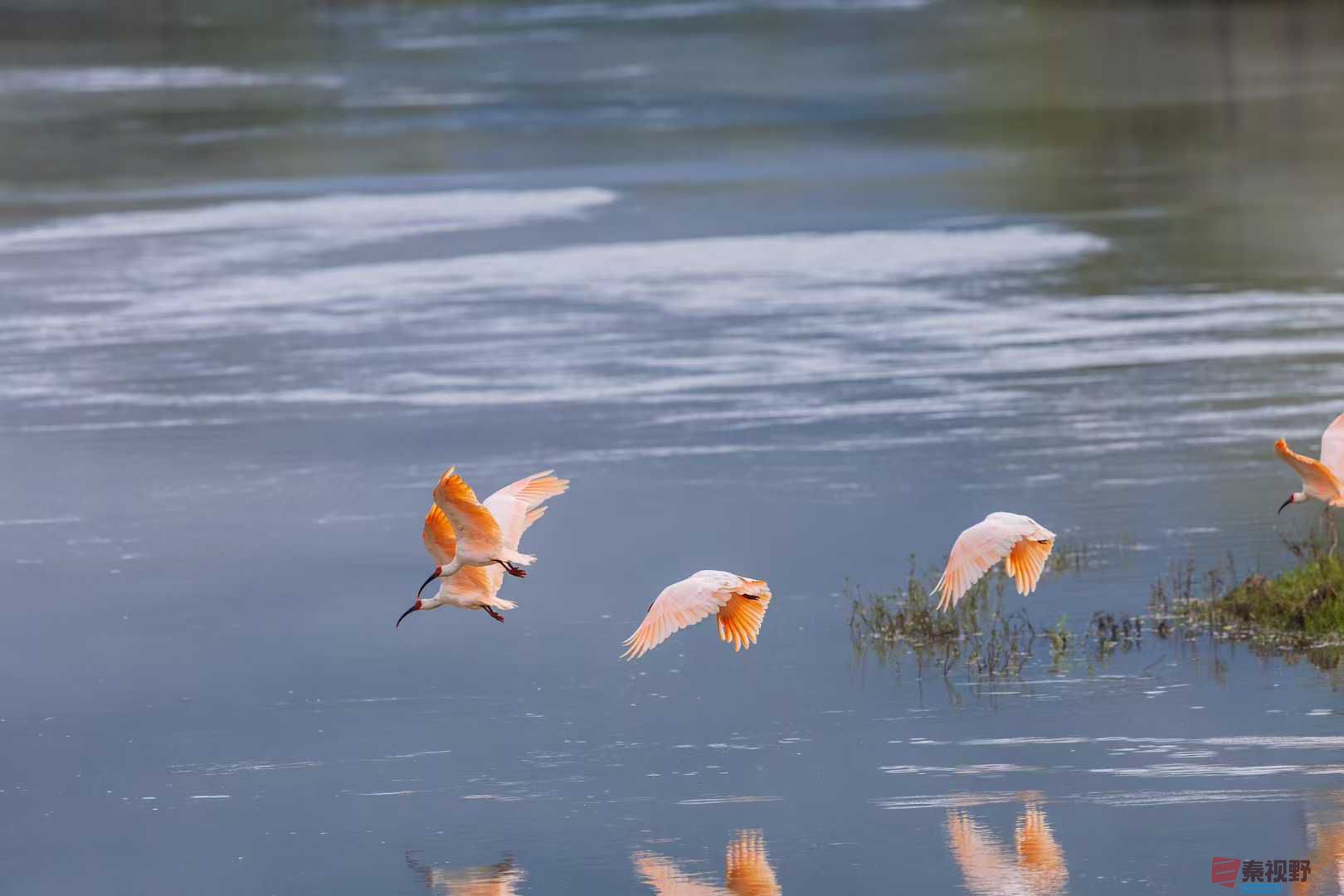 袁小保_2025-10-13_144120_348 (8).jpg