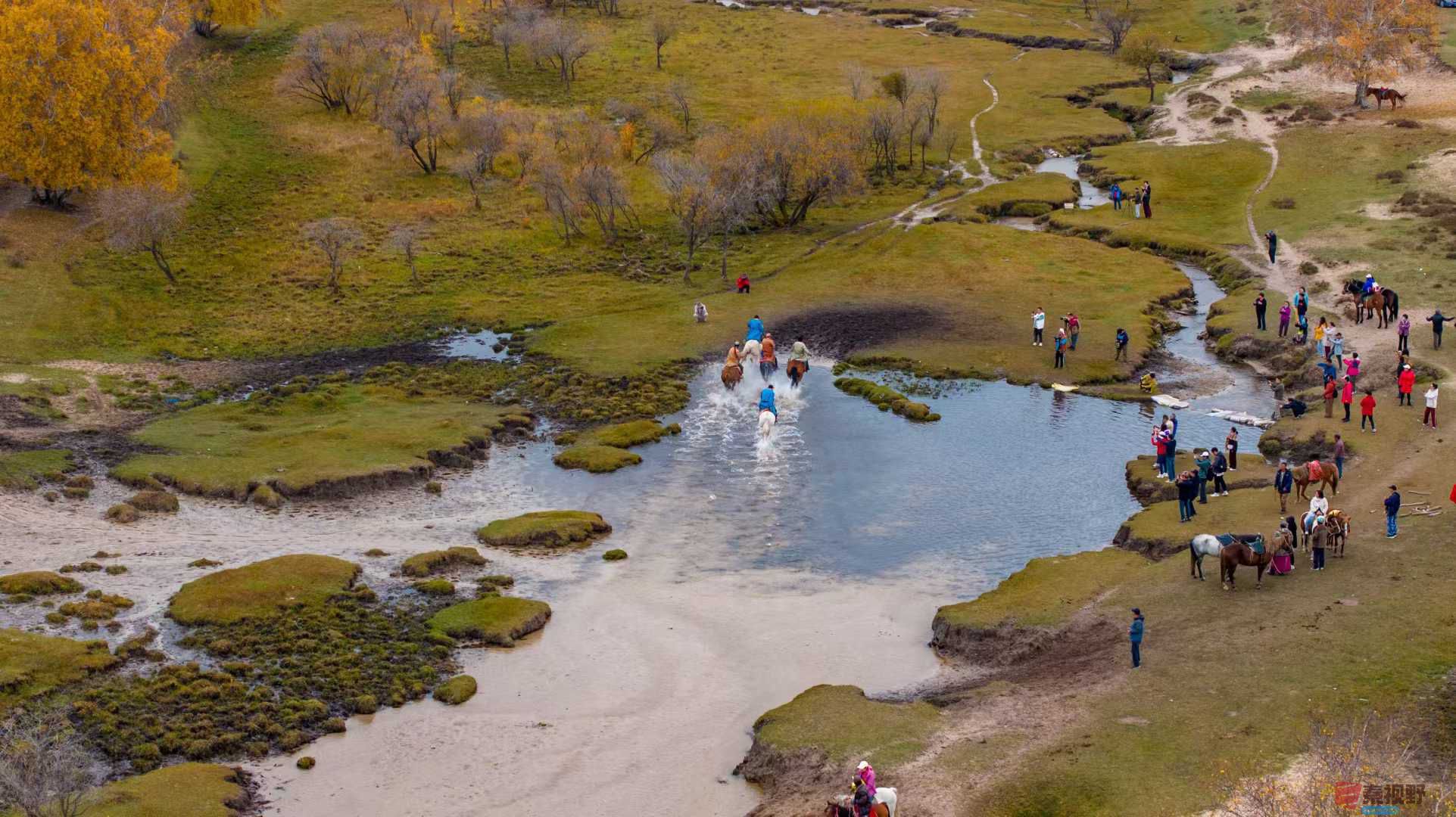 张宝光_2025-10-13_150555_851 (3).jpg