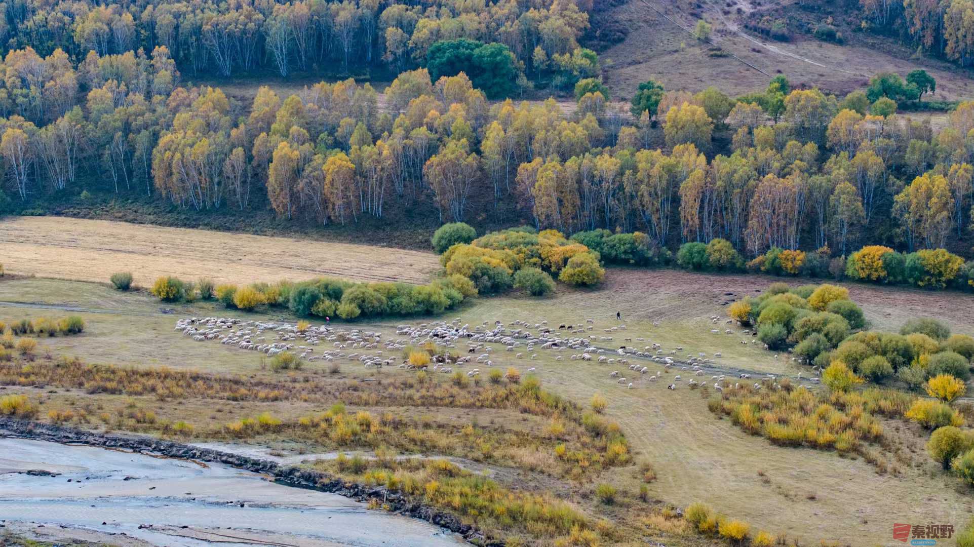 张宝光_2025-10-13_150555_851 (2).jpg