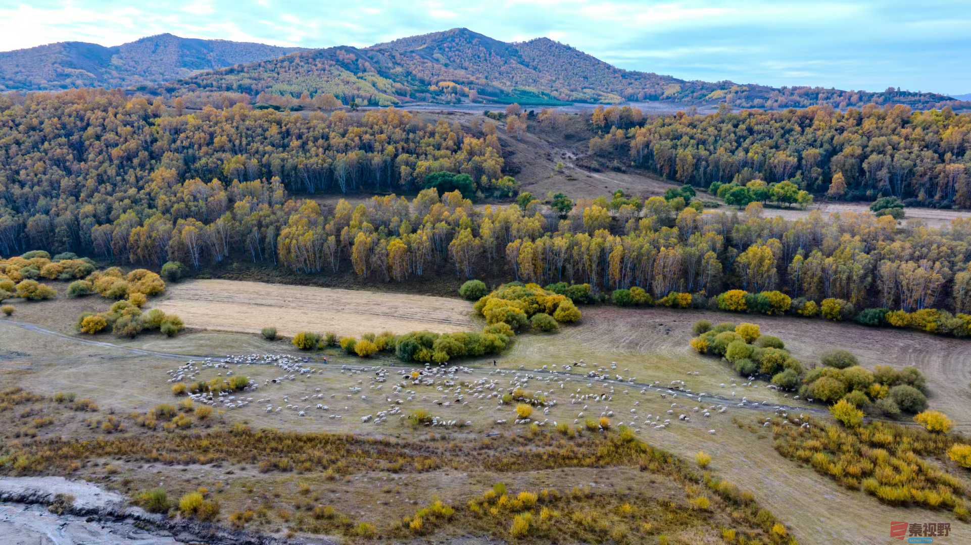 张宝光_2025-10-13_150555_851 (4).jpg