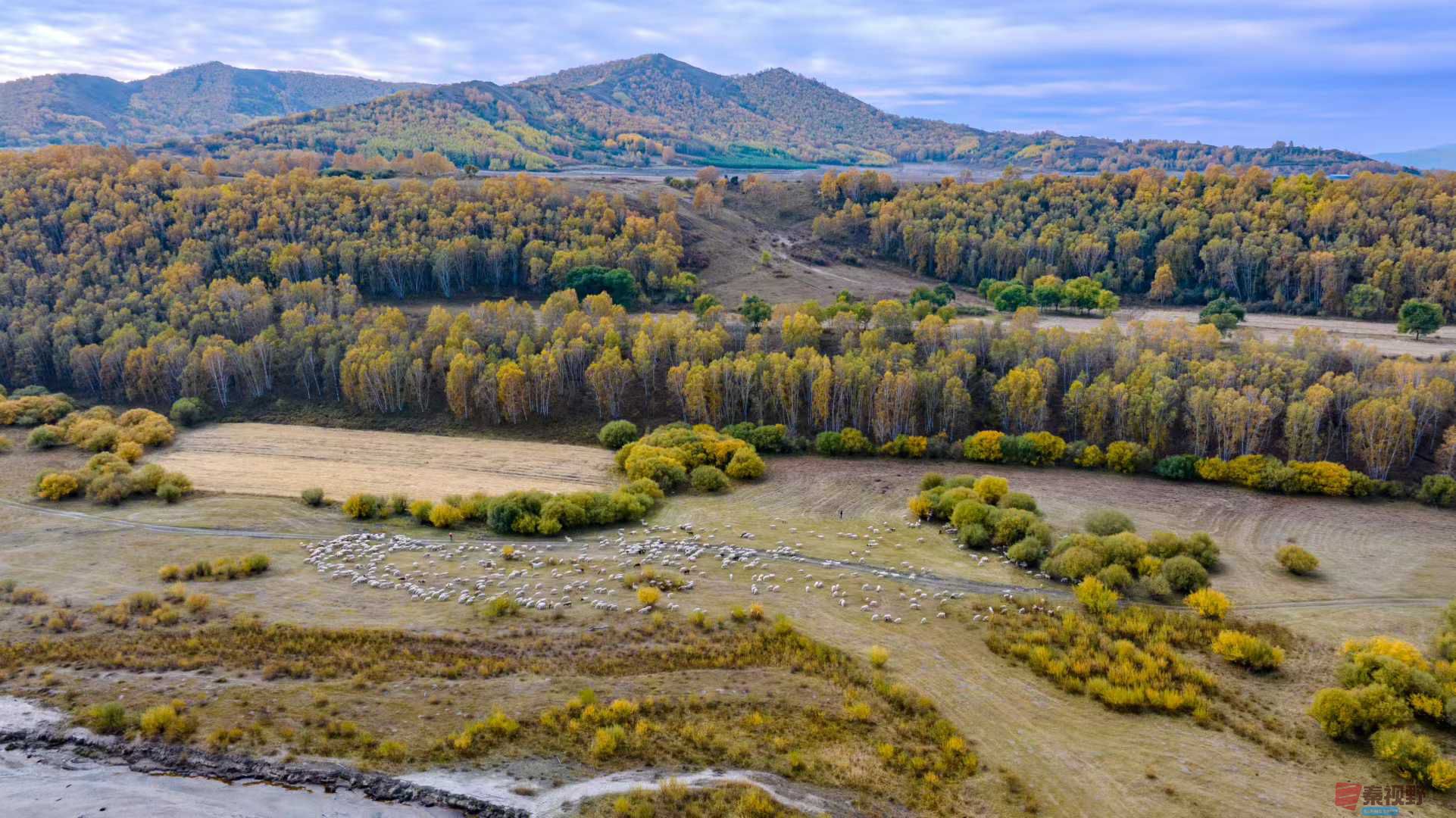 张宝光_2025-10-13_150555_851 (5).jpg