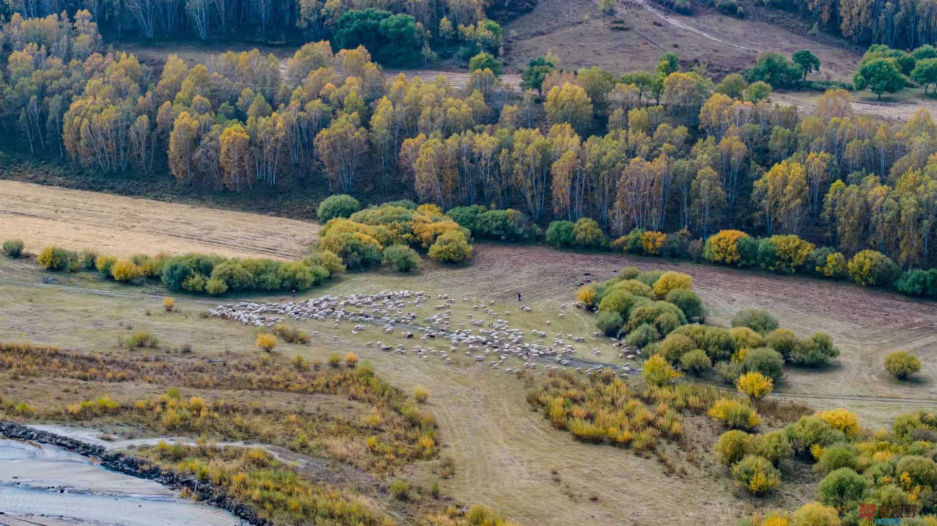 张宝光_2025-10-13_150555_851 (6).jpg