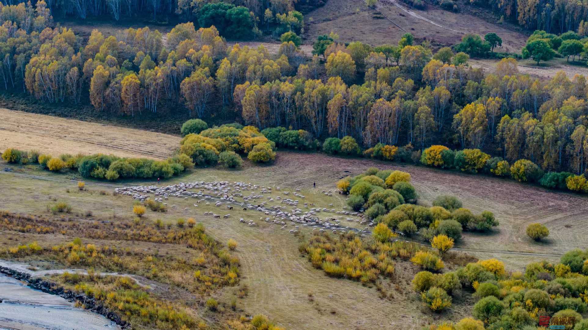 张宝光_2025-10-13_150555_851 (7).jpg