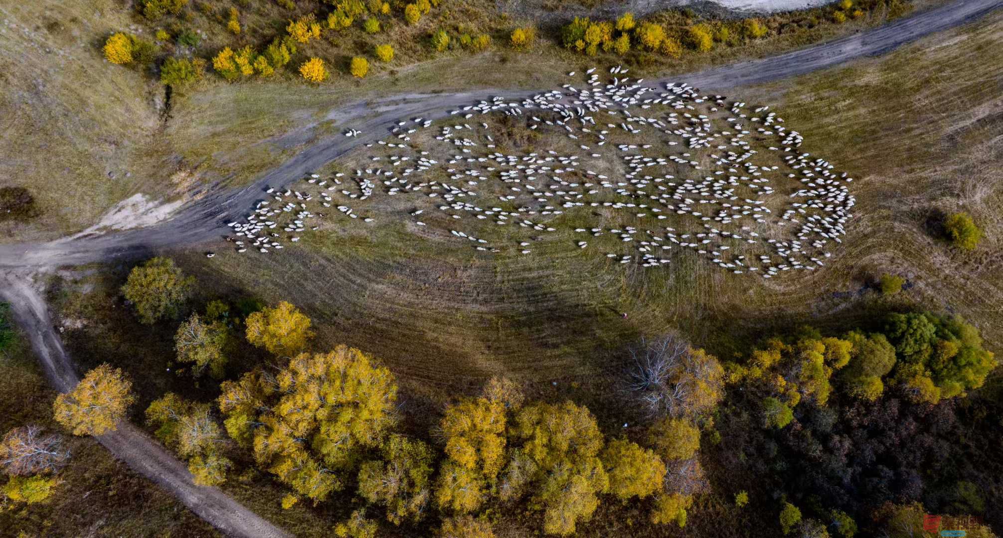 张宝光_2025-10-13_150555_851 (9).jpg