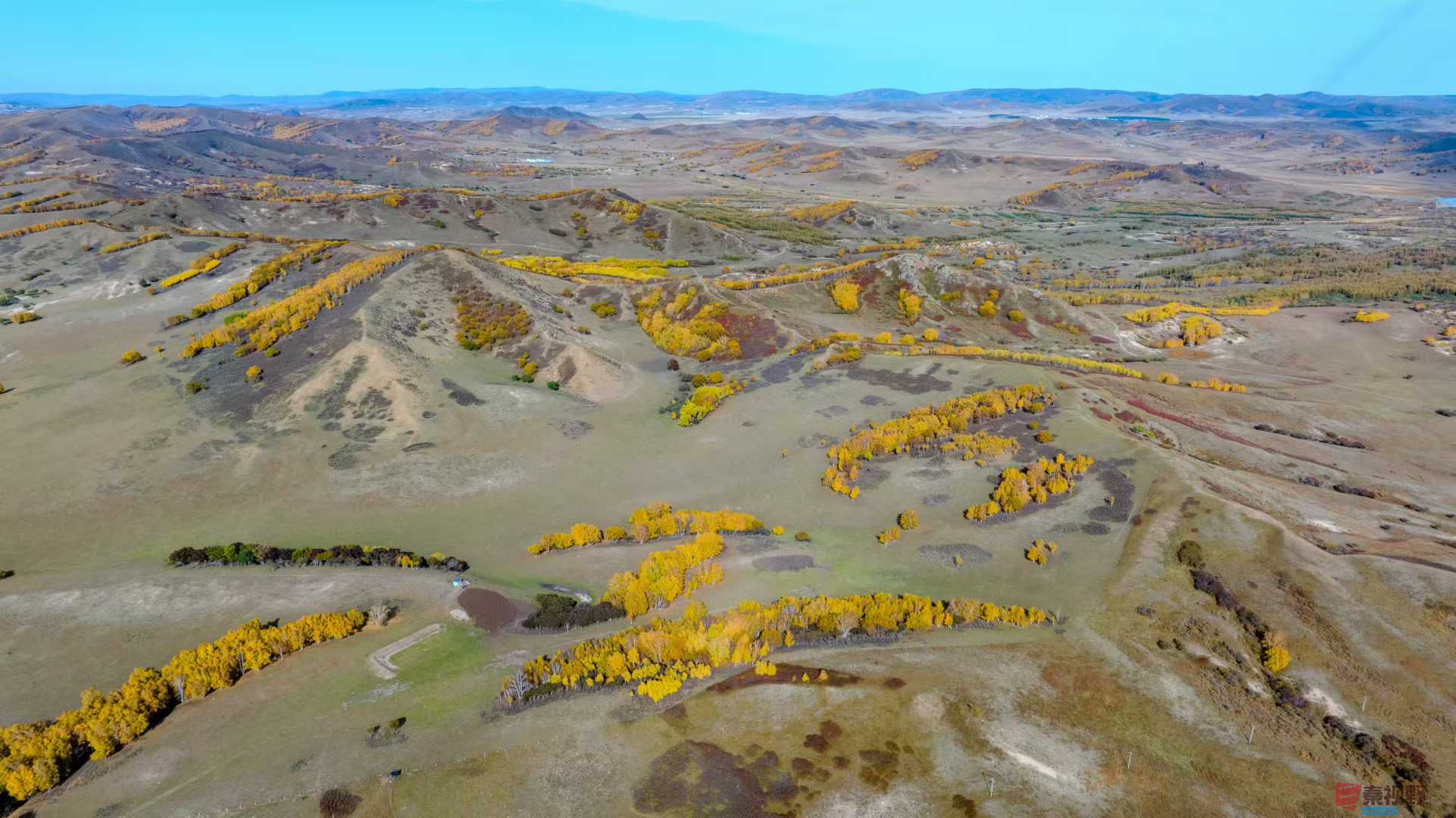 张宝光_2025-10-13_151746_311 (3).jpg