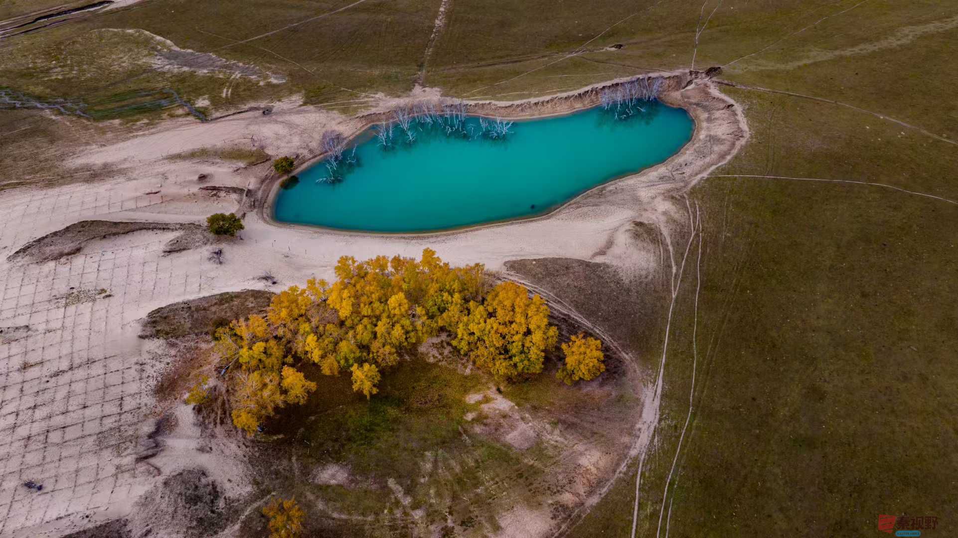 张宝光_2025-10-13_151746_311 (2).jpg