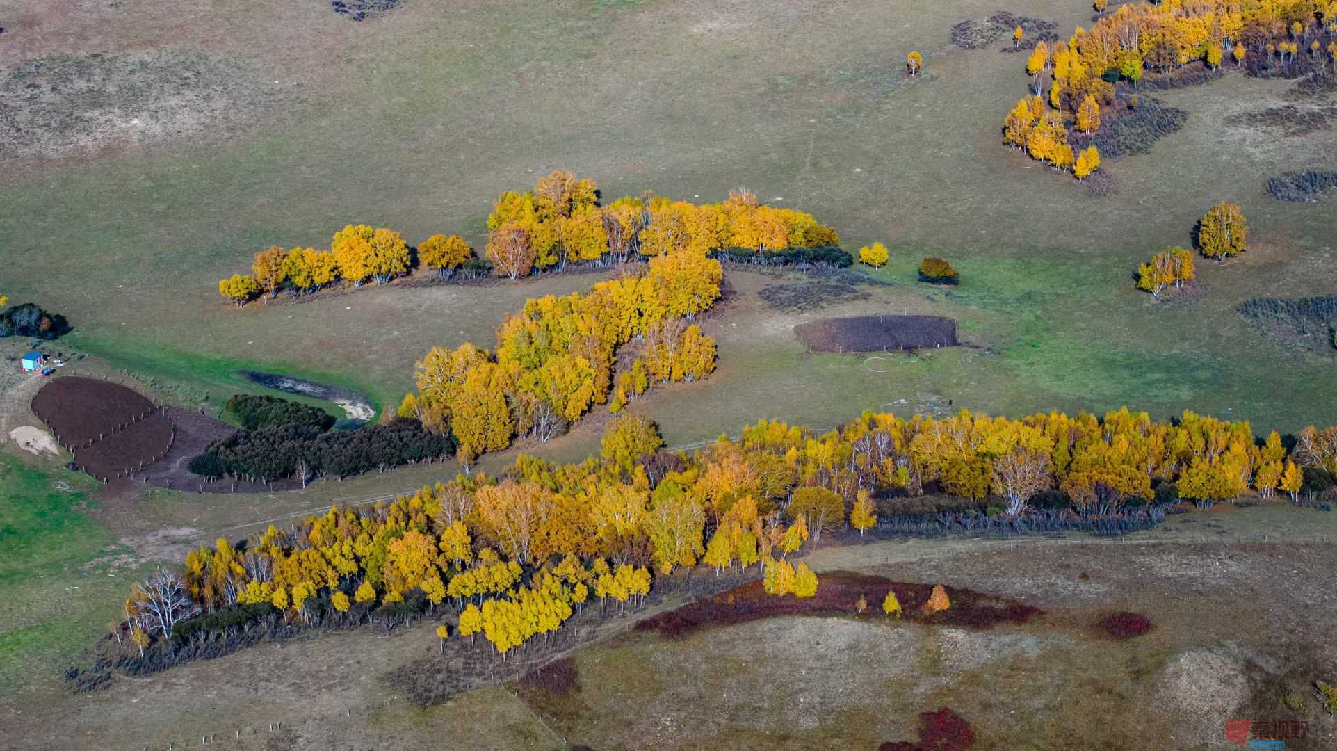 张宝光_2025-10-13_151746_311 (4).jpg