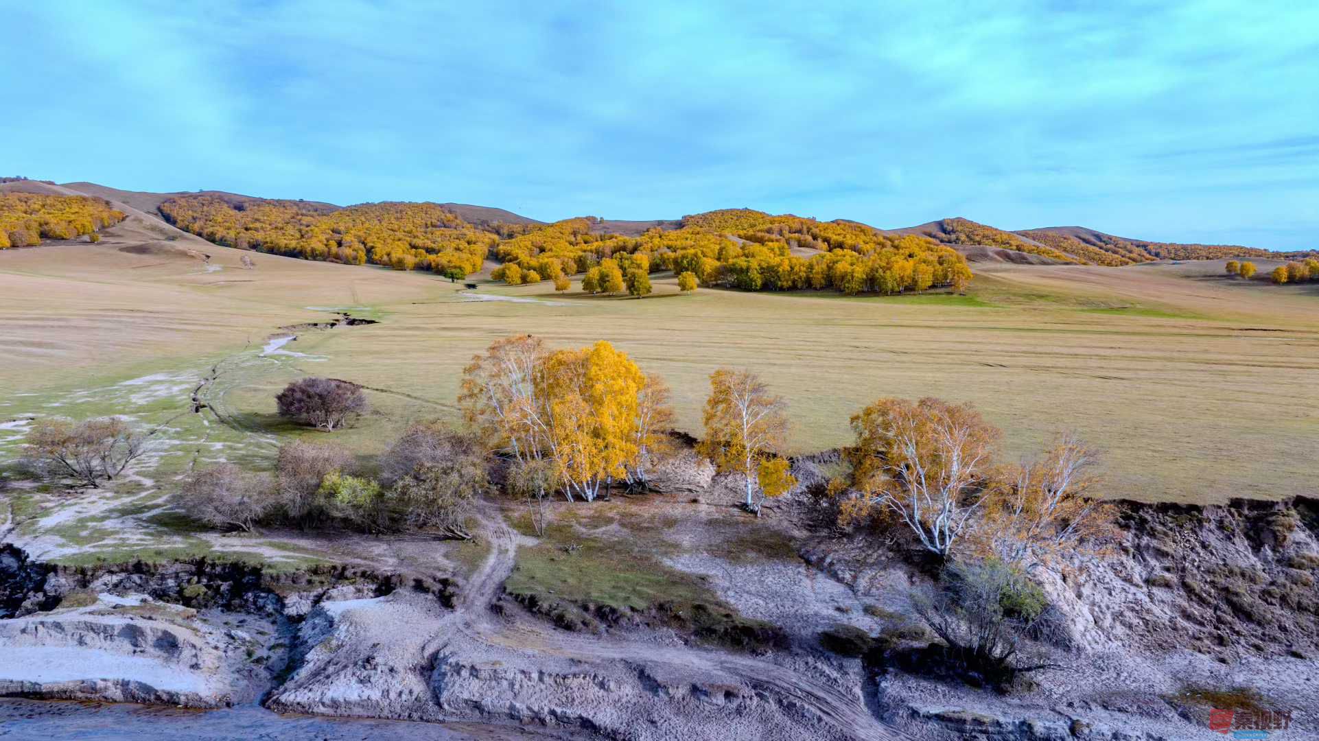 张宝光_2025-10-13_151746_311 (6).jpg