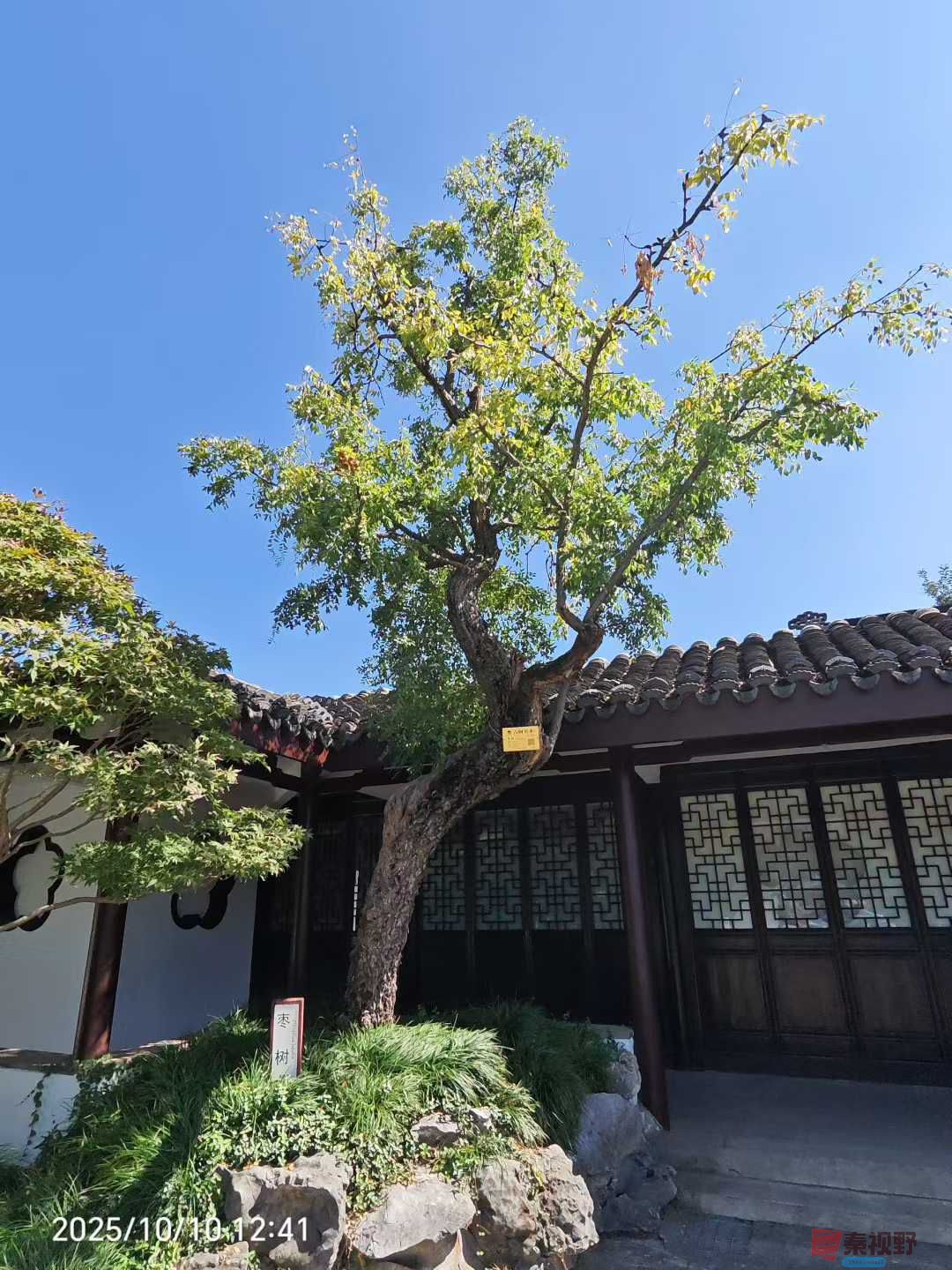 黄秦生_2025-10-13_145742_834 (7).jpg