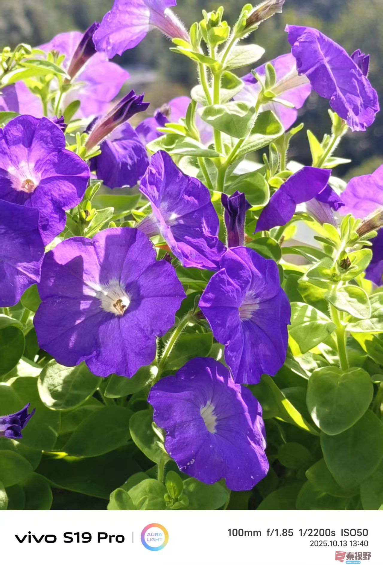 王彦娣_20251013135136_2098_463 (1).jpg