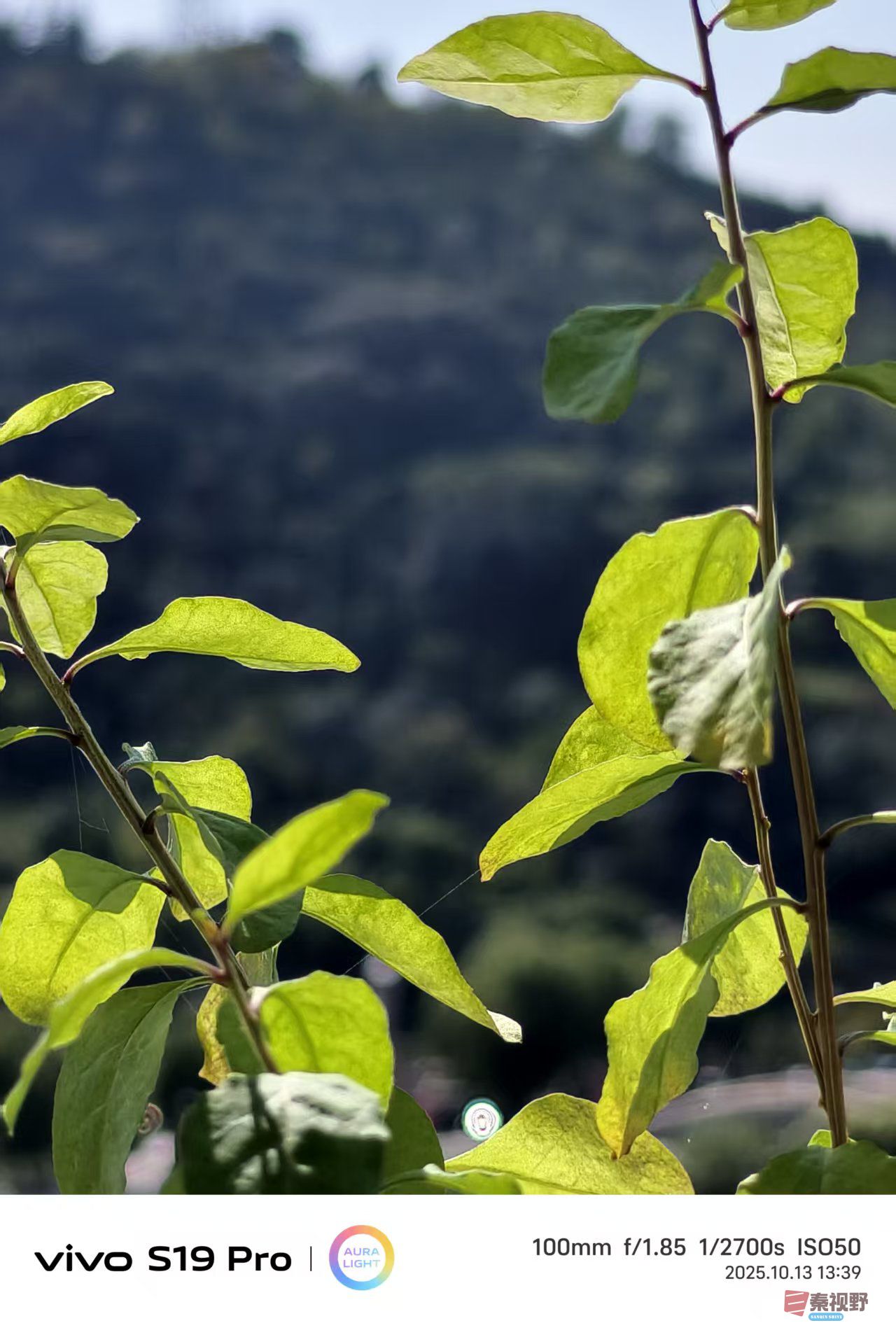 王彦娣_20251013135136_2098_463 (2).jpg