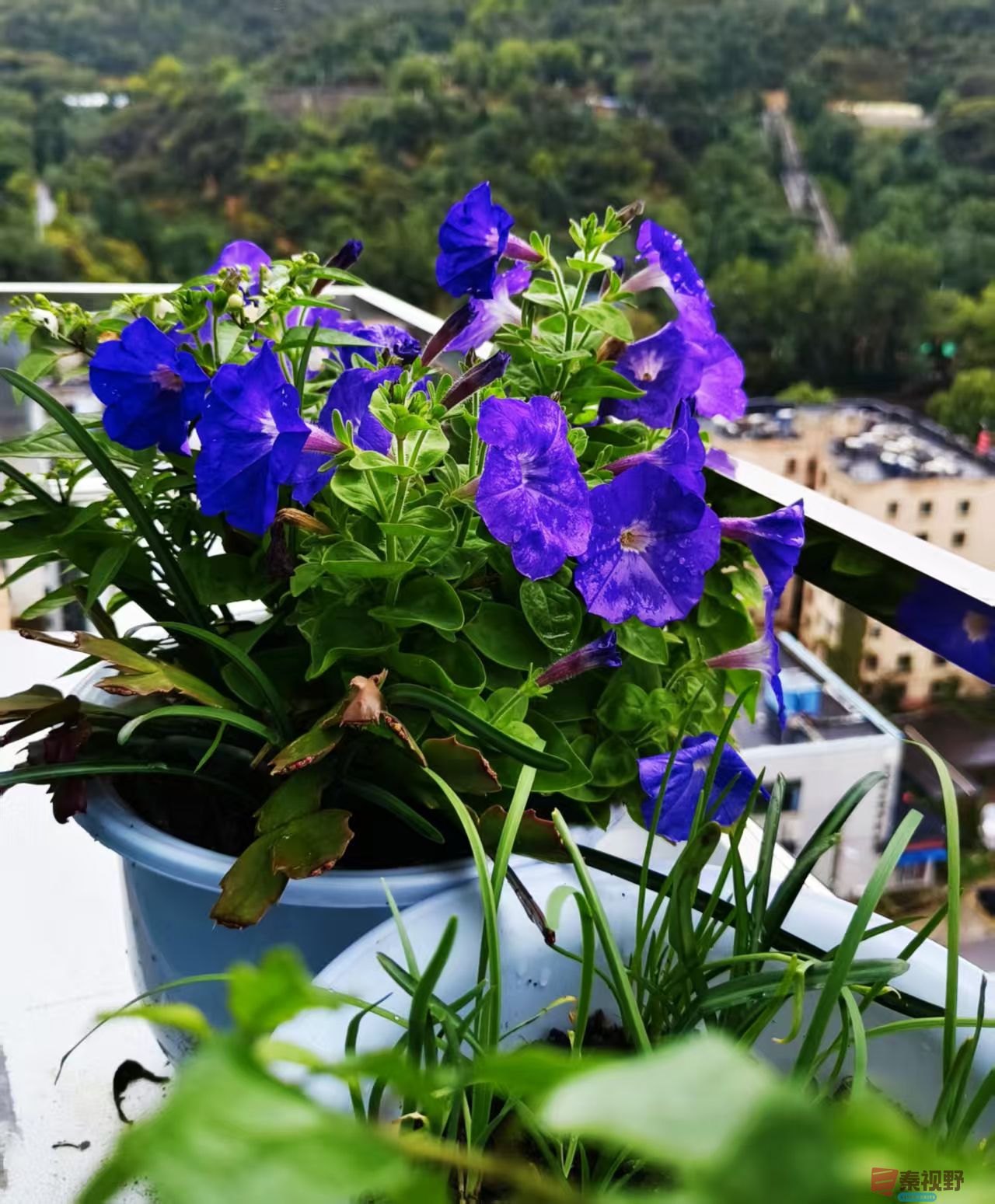 秋色正浓【摄影王彦娣】