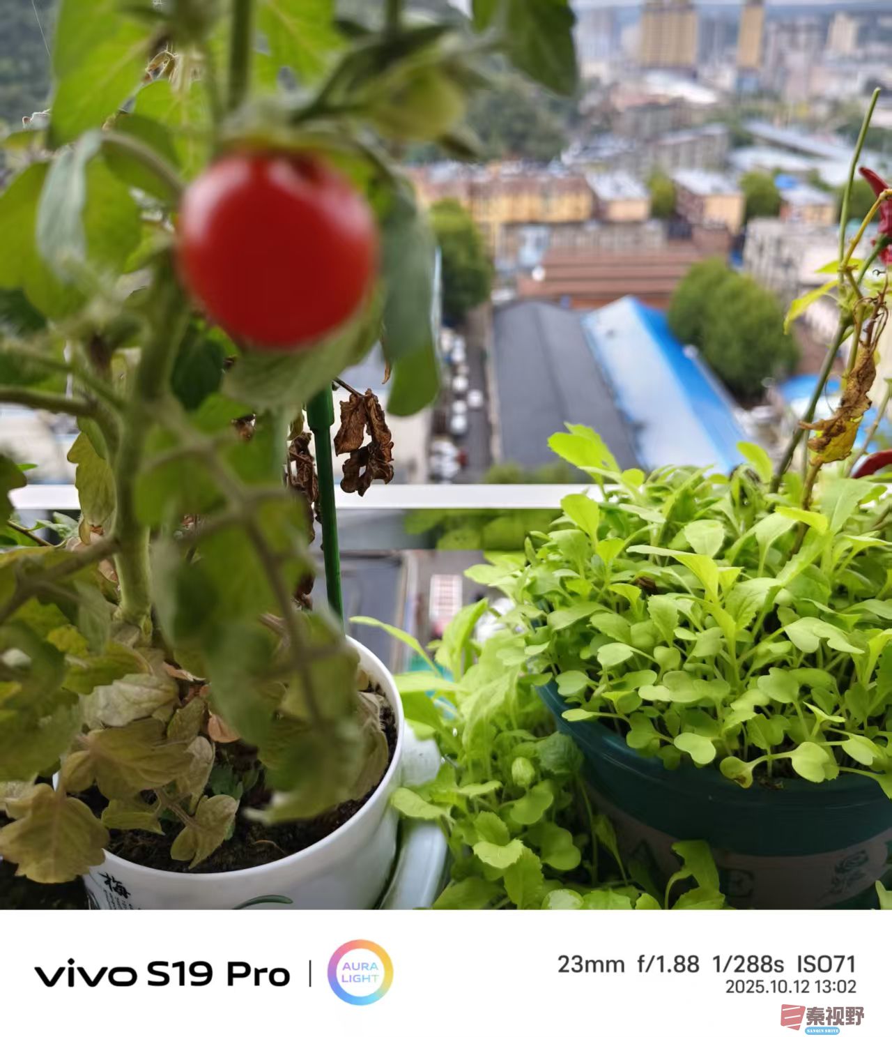 王彦娣_20251013135136_2098_463 (5).jpg