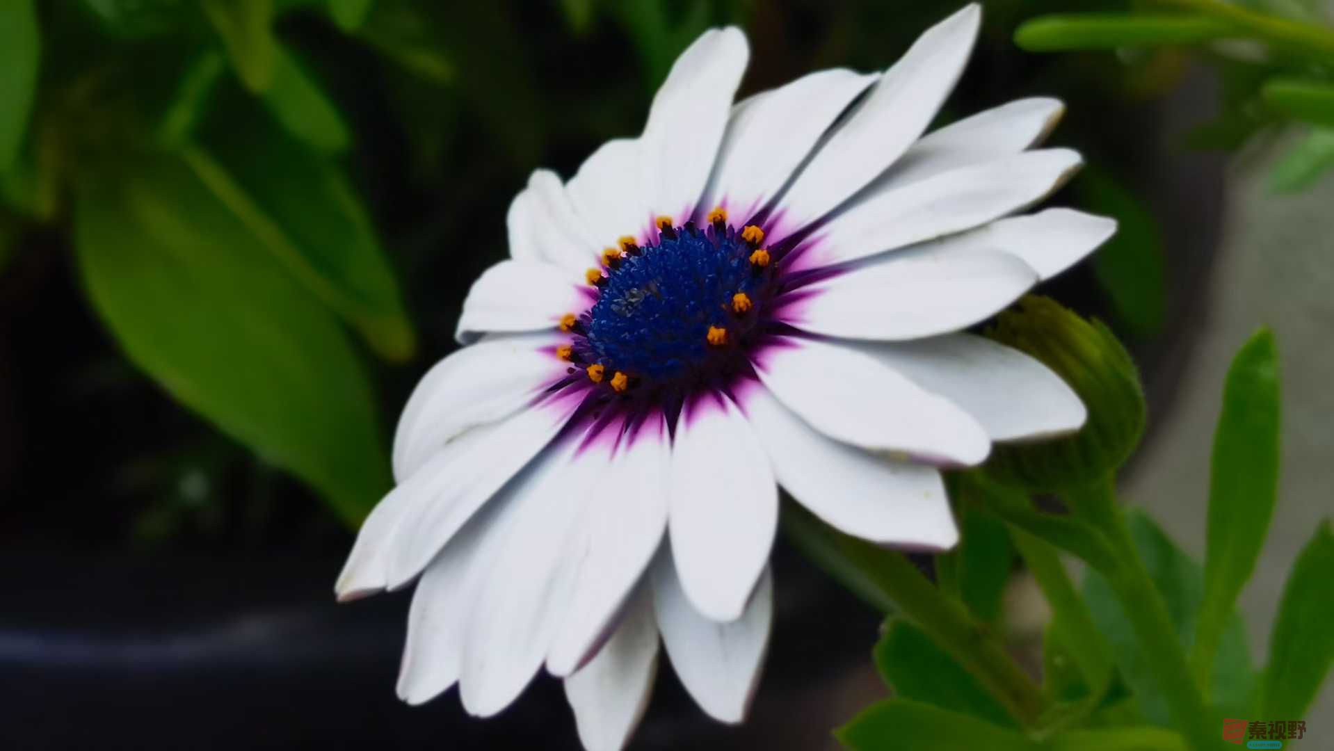 马世国_2025-10-13_151616_515 (3).jpg