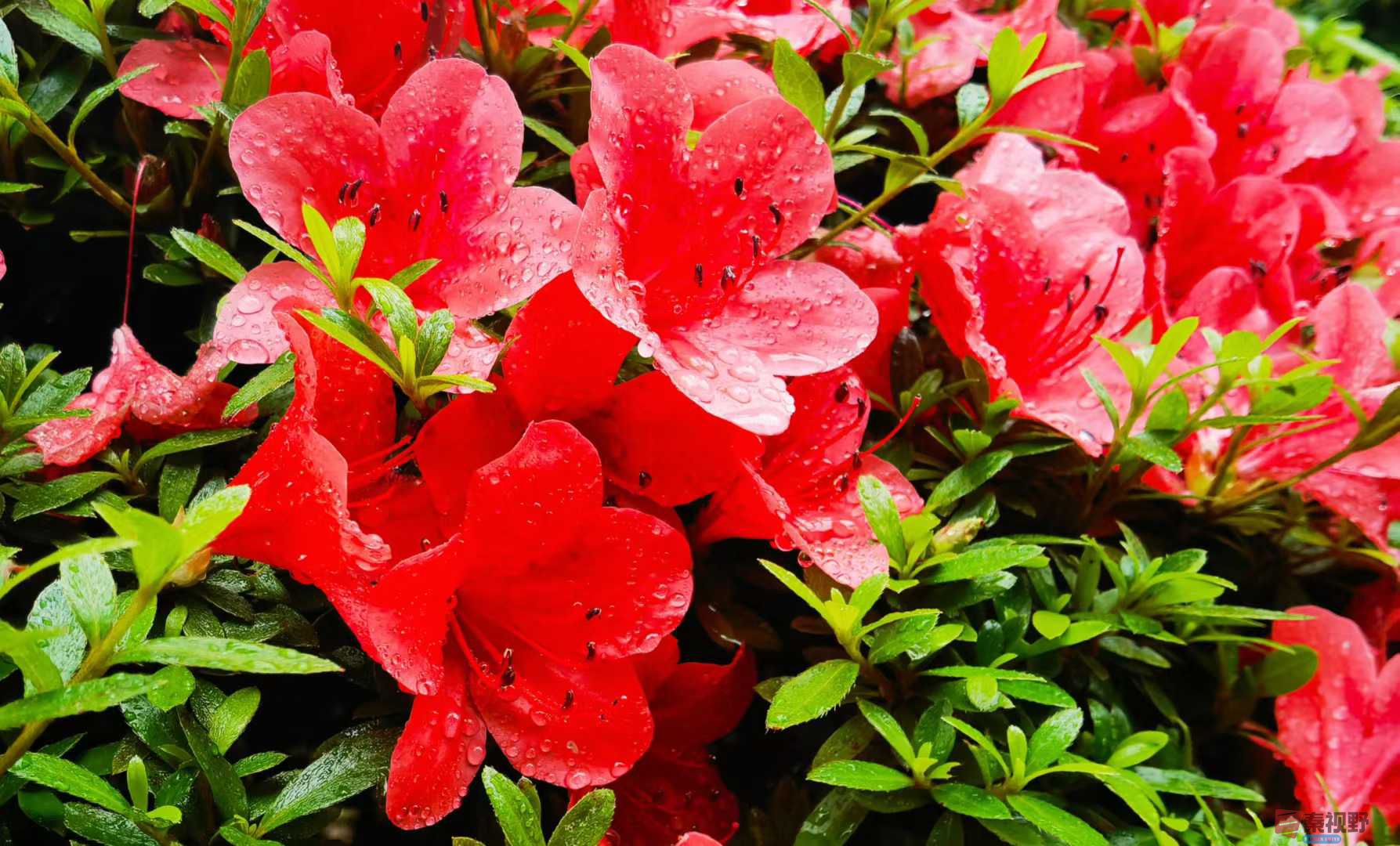 马世国_2025-10-13_151616_515 (4).jpg