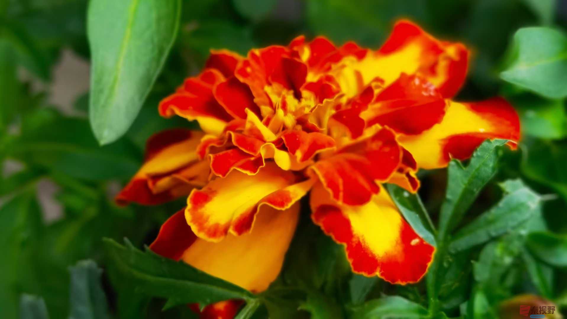 马世国_2025-10-13_151616_515 (2).jpg