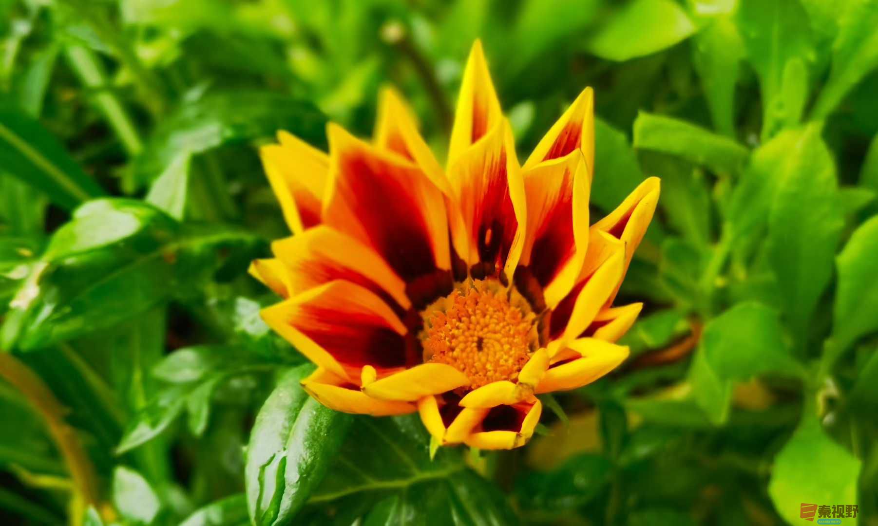 马世国_2025-10-13_151616_515 (6).jpg