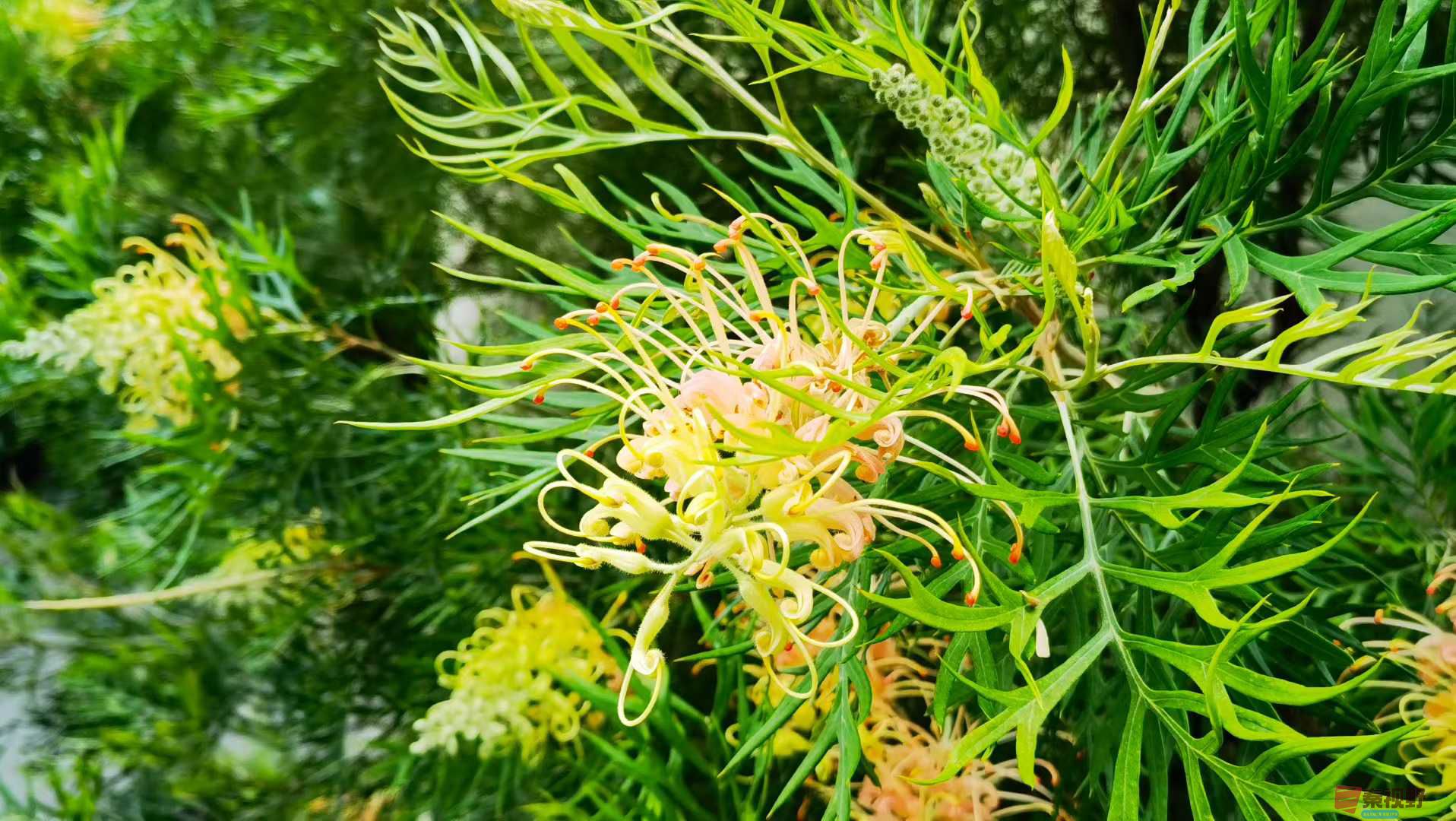 马世国_2025-10-13_151616_515 (5).jpg