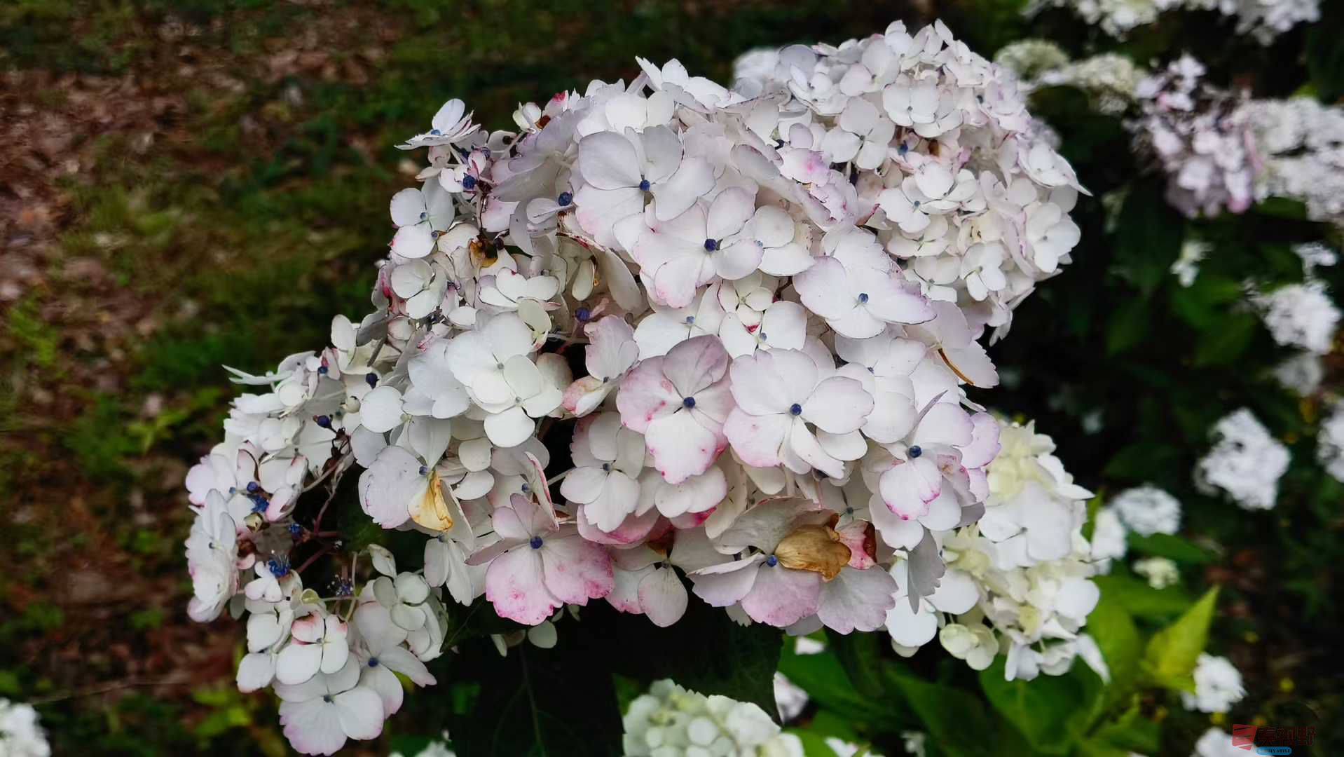 马世国_2025-10-13_151616_515 (7).jpg