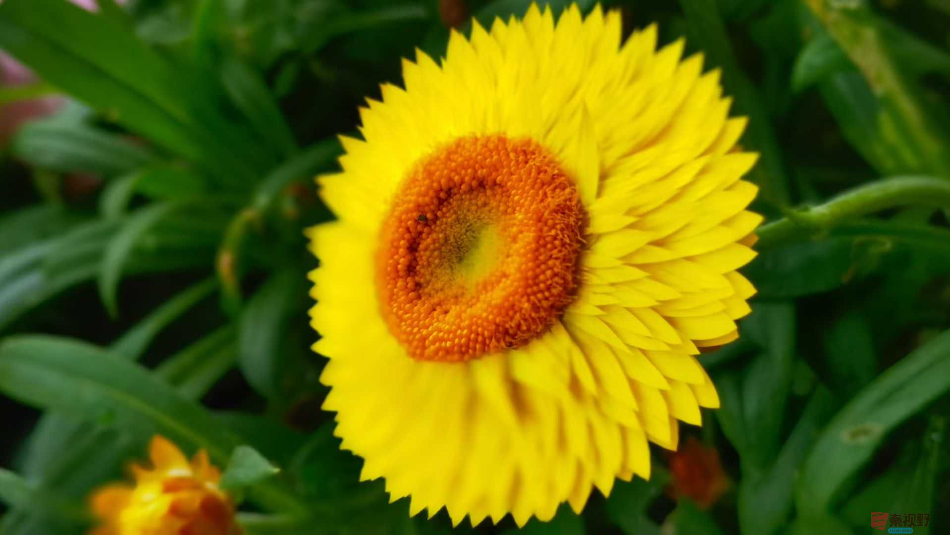 马世国_2025-10-13_151616_515 (9).jpg