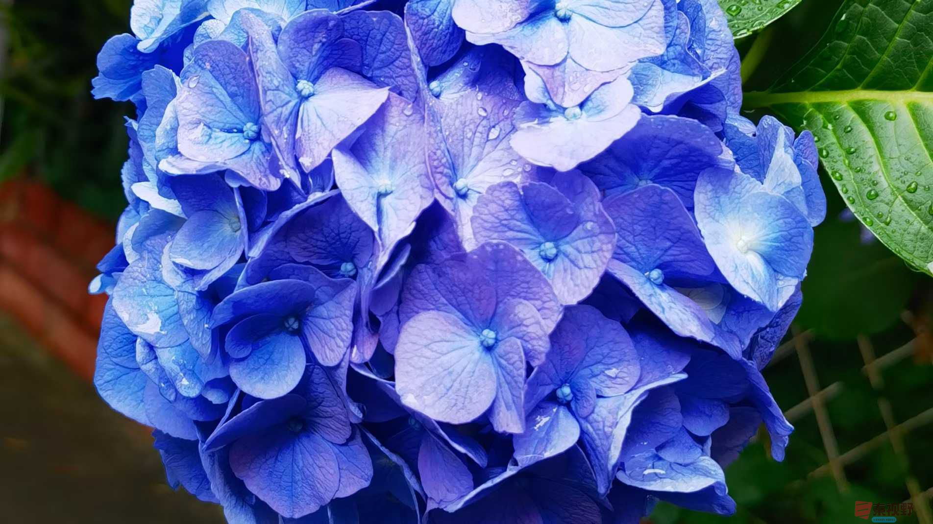 马世国_2025-10-13_151616_515 (8).jpg