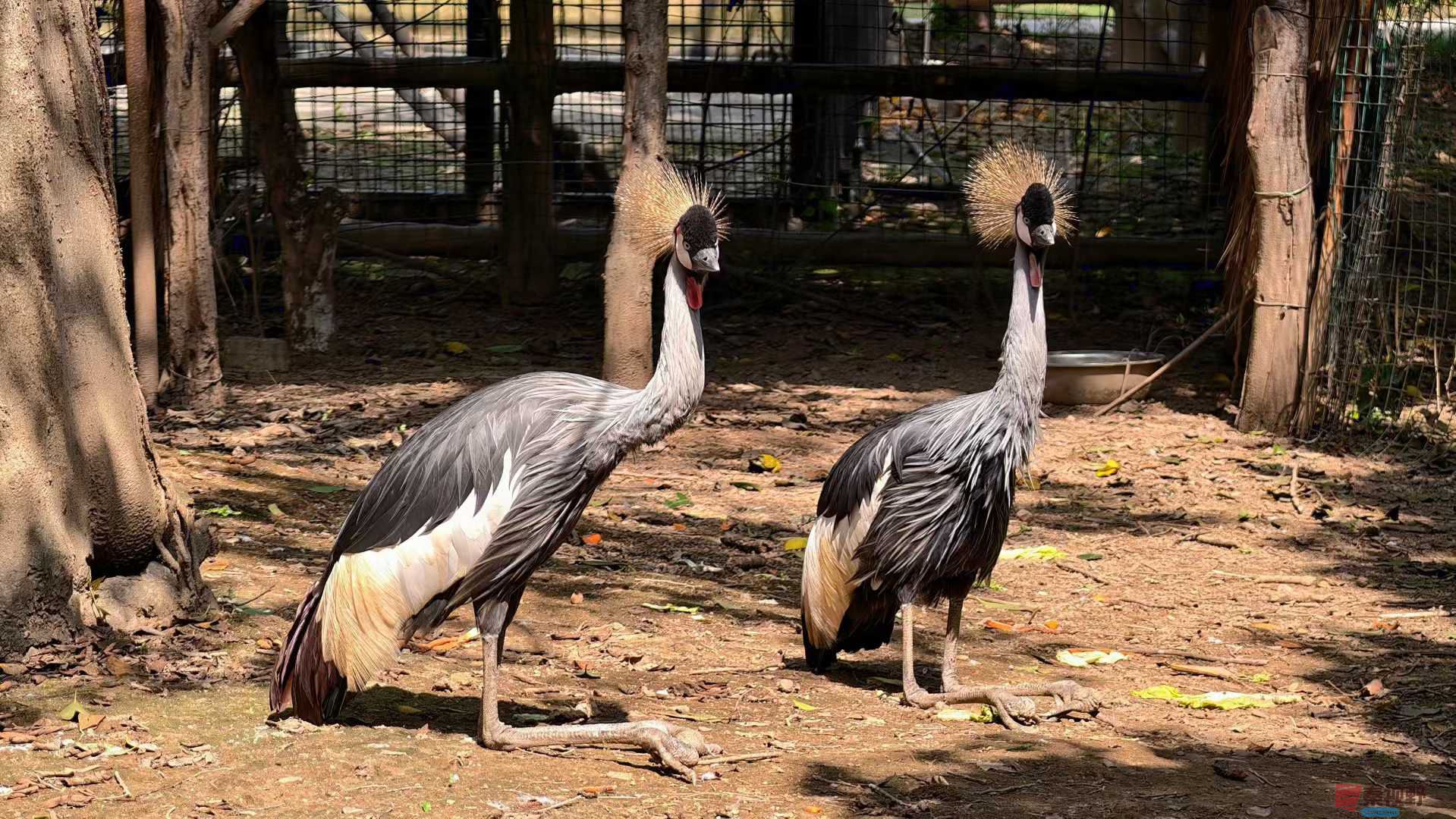 张兴_2025-10-13_151455_640 (1).jpg