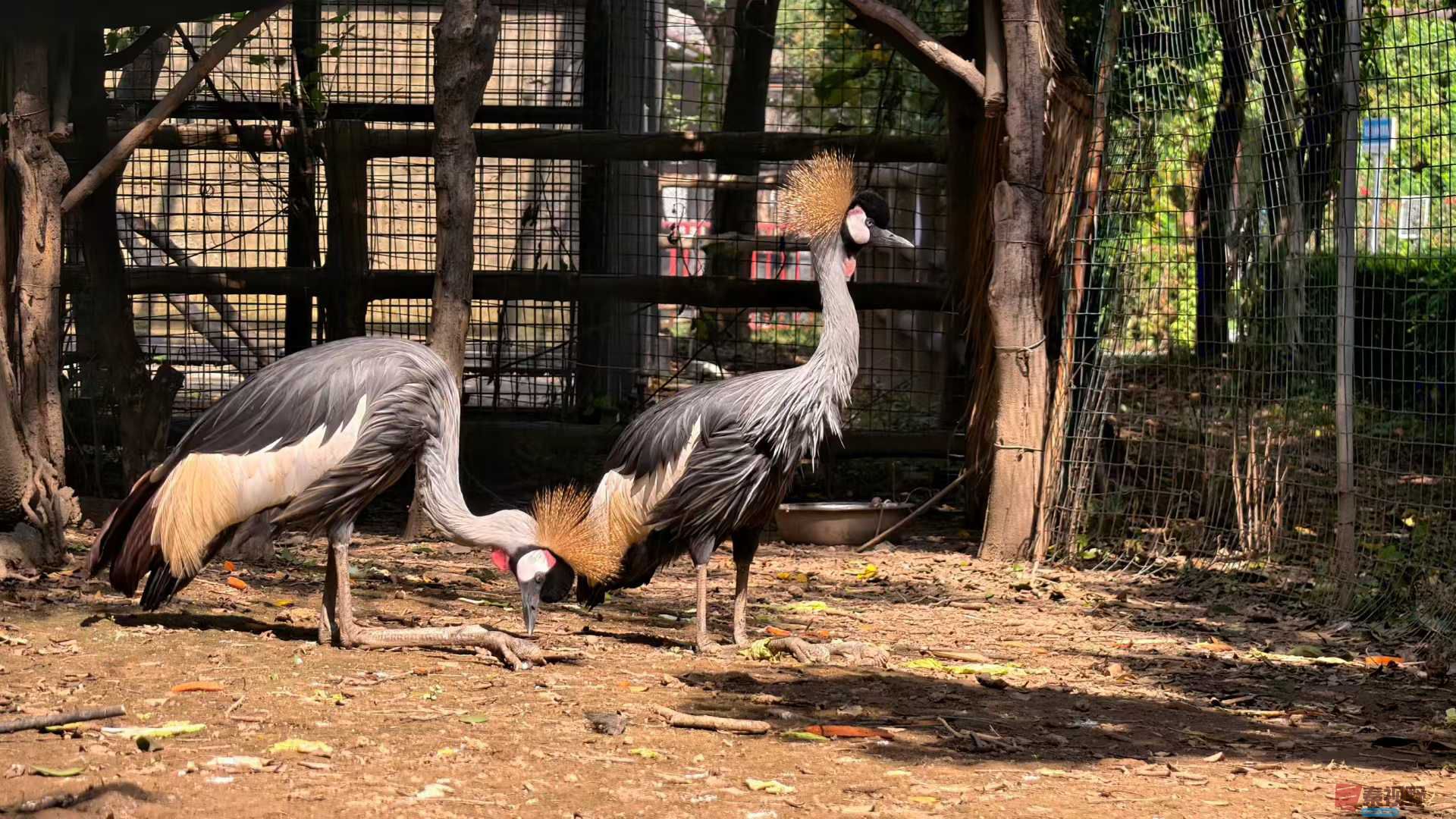 张兴_2025-10-13_151455_640 (2).jpg