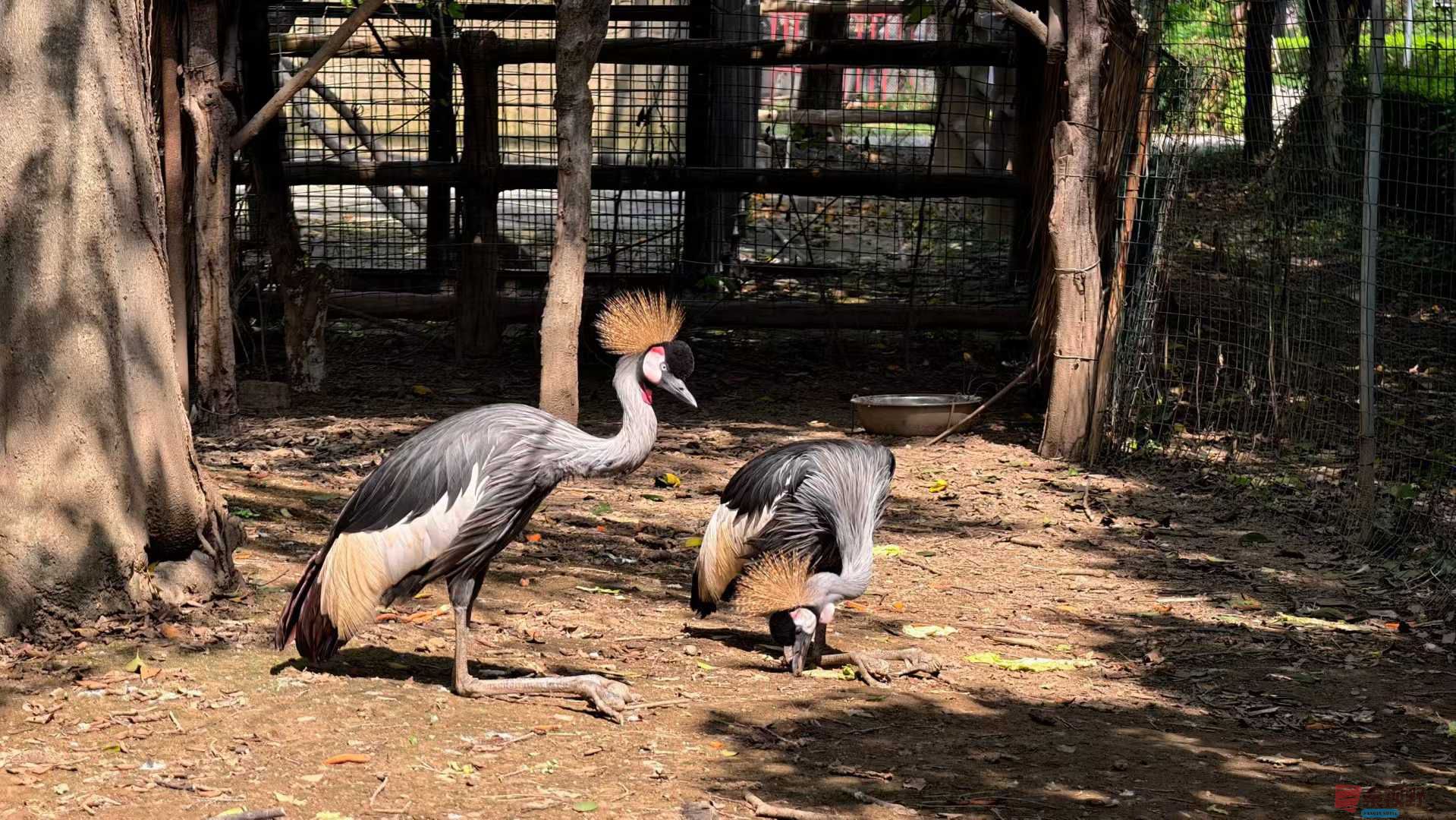 张兴_2025-10-13_151455_640 (3).jpg