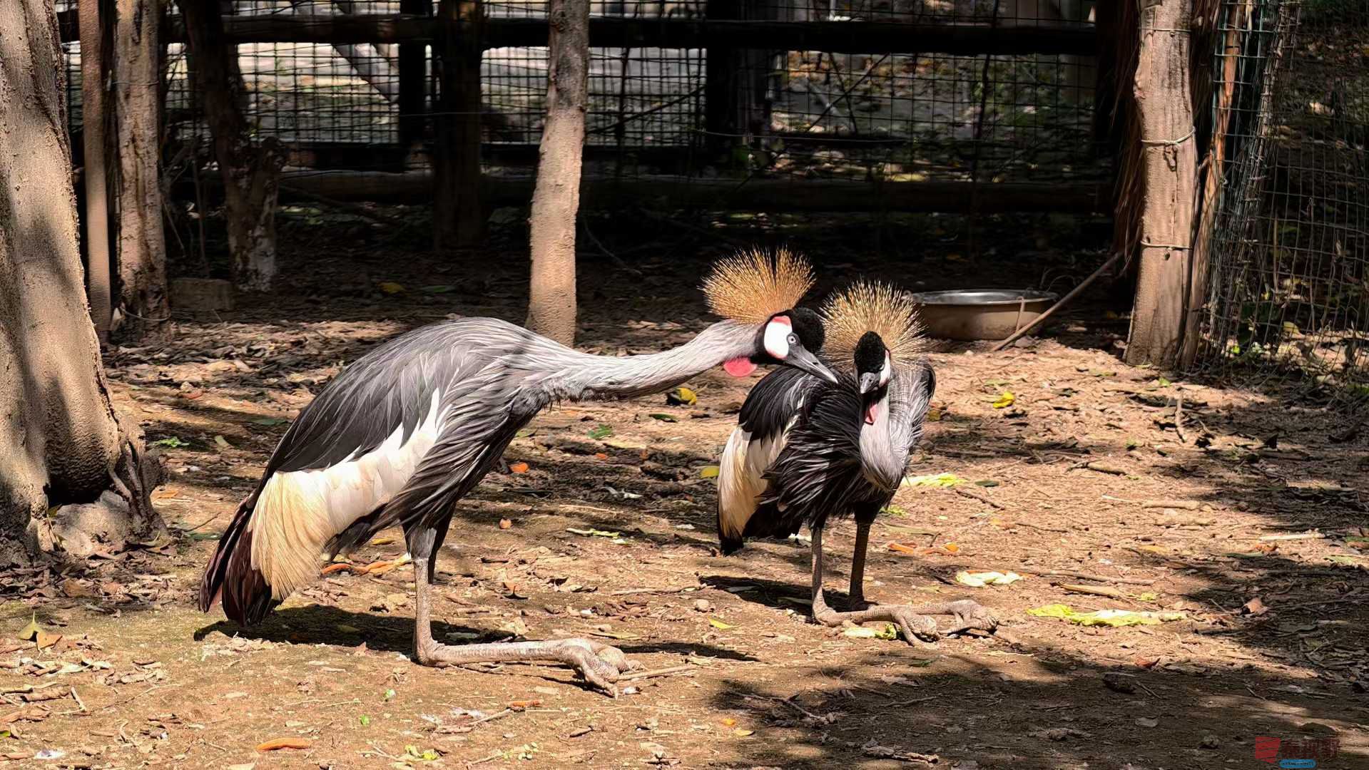 张兴_2025-10-13_151455_640 (6).jpg