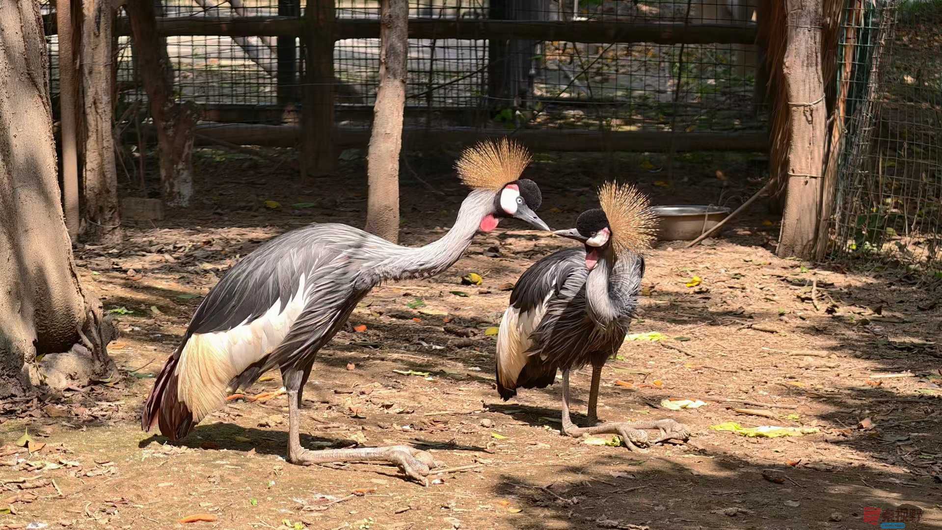 张兴_2025-10-13_151455_640 (5).jpg