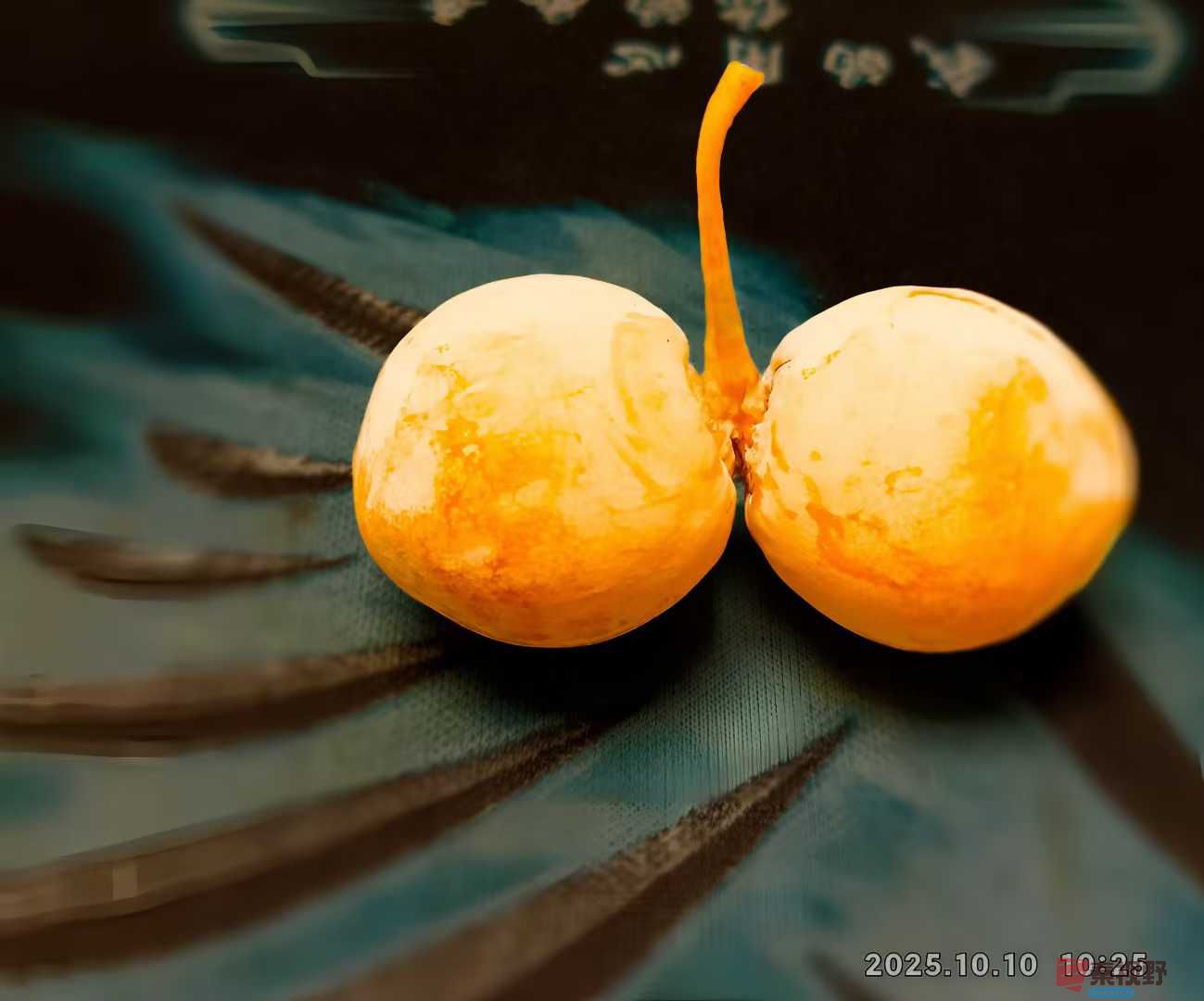 陈耀杰_2025-10-13_151335_250 (3).jpg