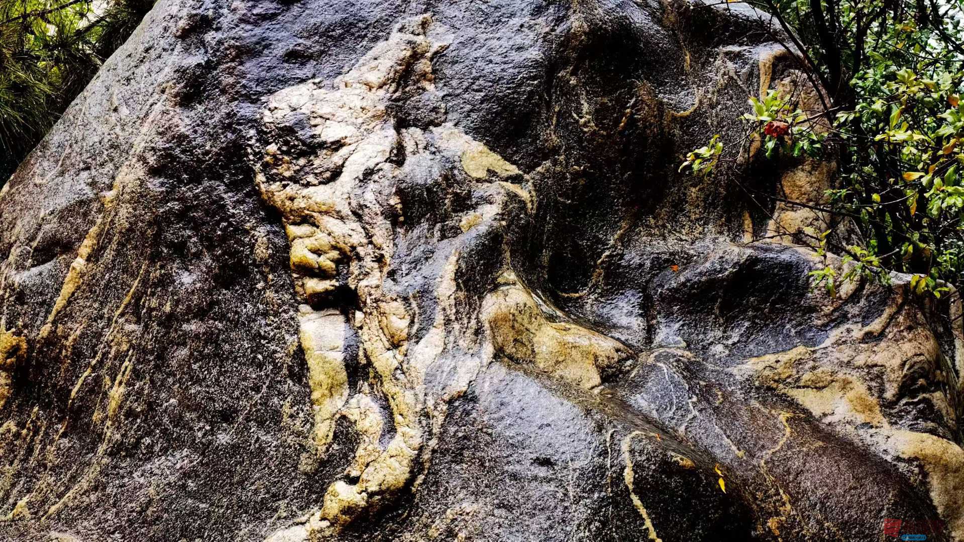 马世国_2025-10-13_143649_013 (1).jpg