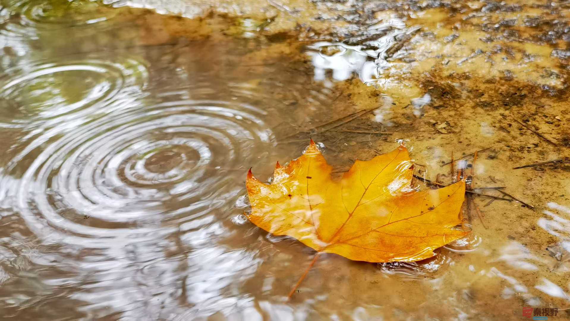 马世国_2025-10-13_143649_013 (8).jpg