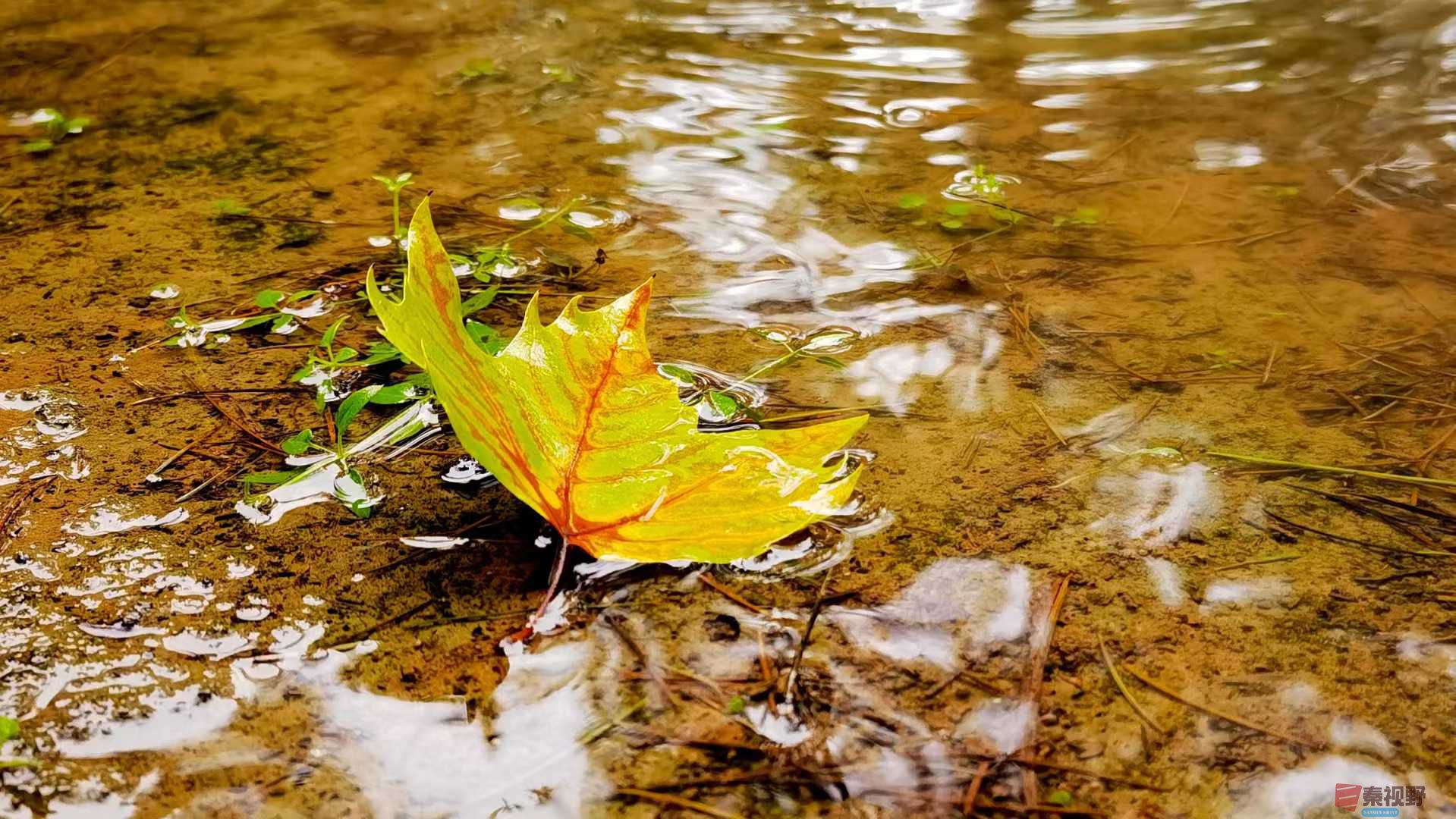 秋衣绵绵秋水长【摄影马世国】