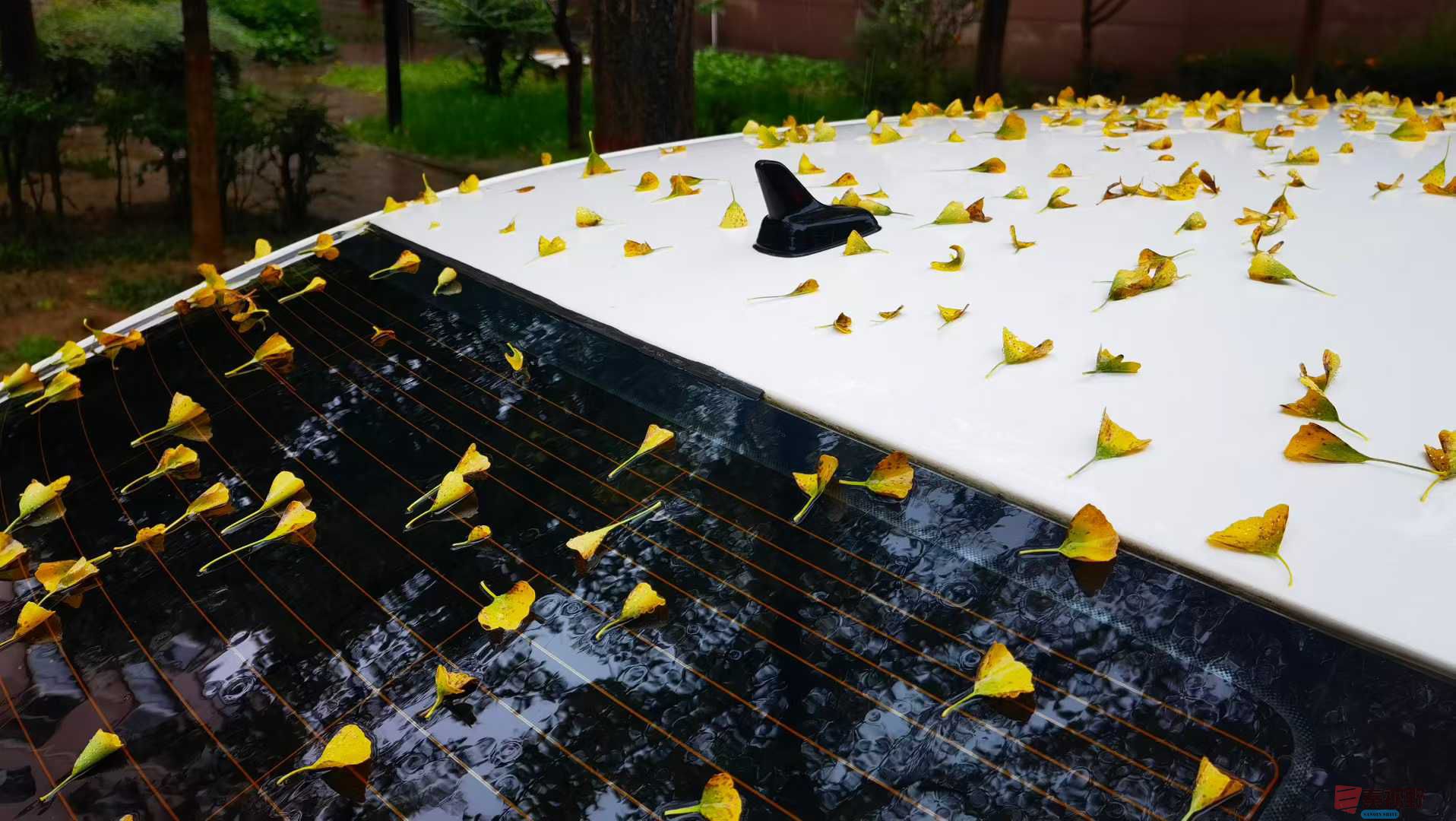 马世国_2025-10-13_143649_013 (3).jpg