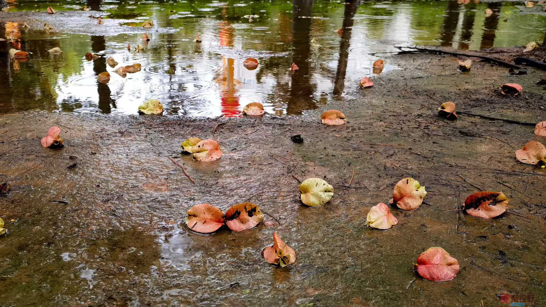 马世国_2025-10-13_143649_013 (5).jpg